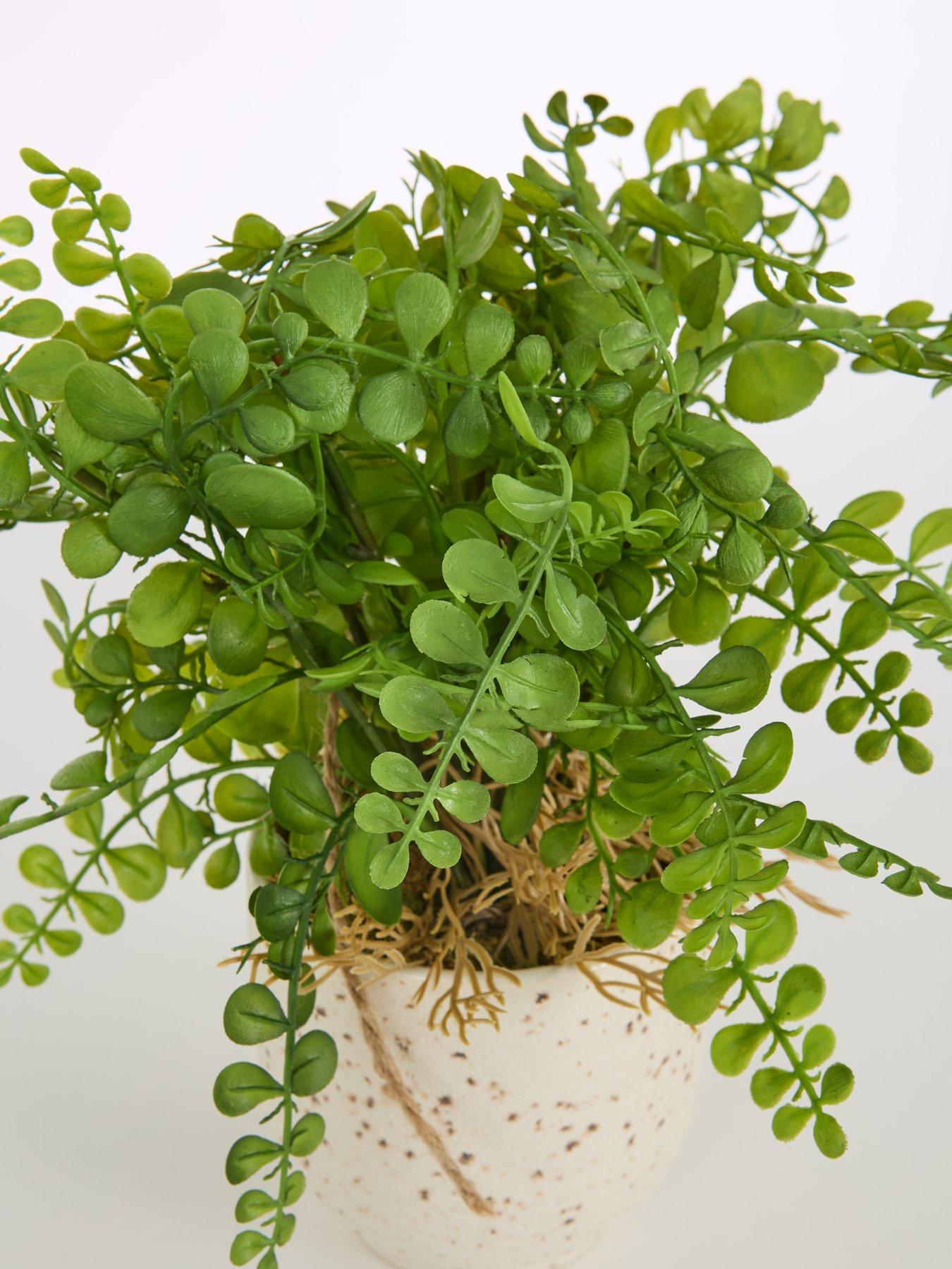 Image 6 of 7 of The Very Collection Artificial Fern in Speckled Ceramic Pot