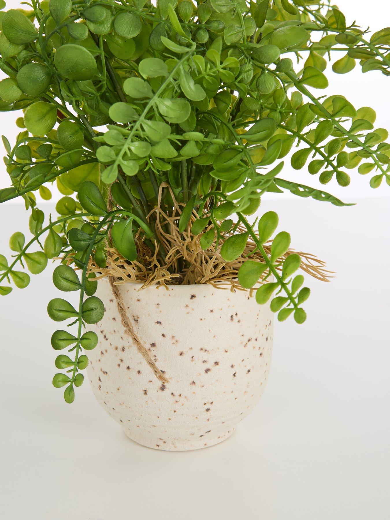 Image 7 of 7 of The Very Collection Artificial Fern in Speckled Ceramic Pot