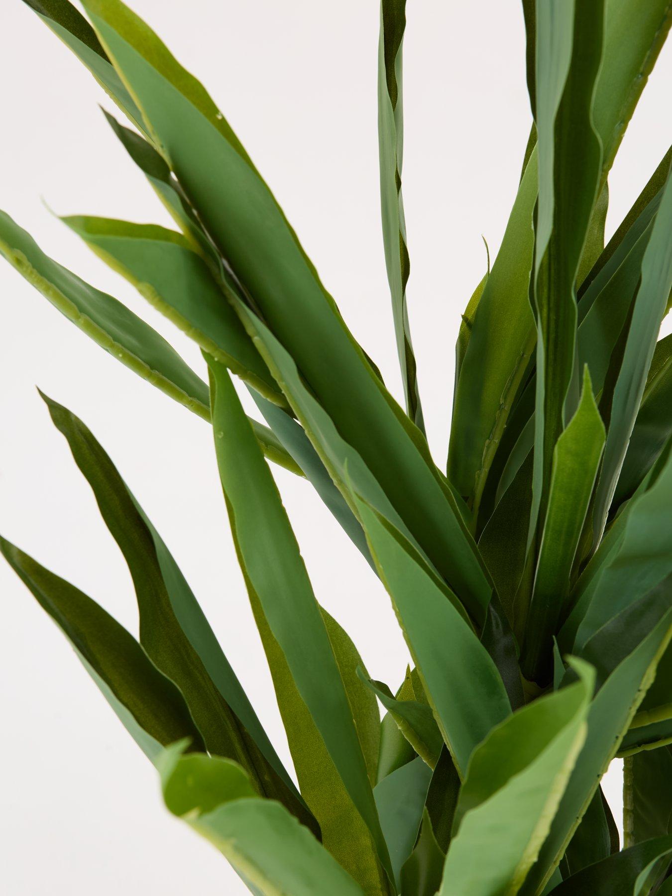 Image 6 of 7 of The Very Collection Faux Double Stem Yucca Plant in Plastic Pot