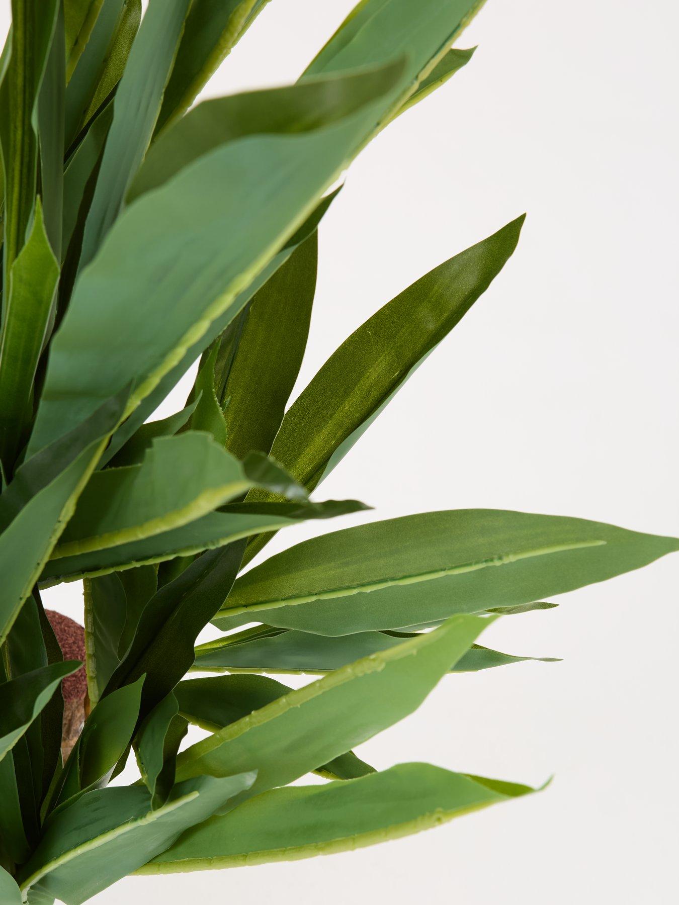 Image 7 of 7 of The Very Collection Faux Double Stem Yucca Plant in Plastic Pot