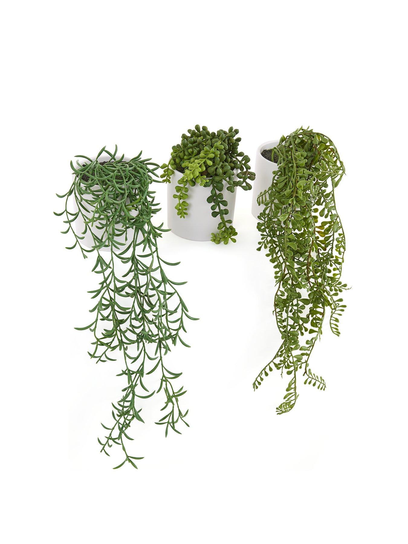 Image 2 of 6 of The Very Collection Set of 3 Trailing Faux Plants in White Ceramic Pots