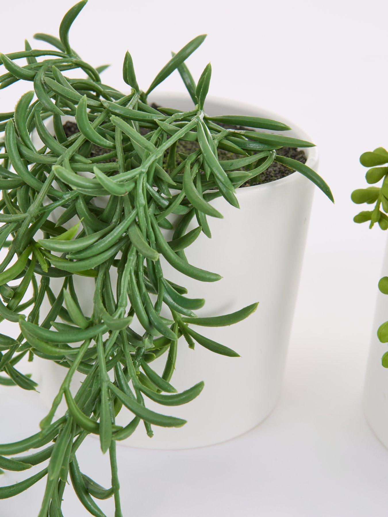 Image 3 of 6 of The Very Collection Set of 3 Trailing Faux Plants in White Ceramic Pots
