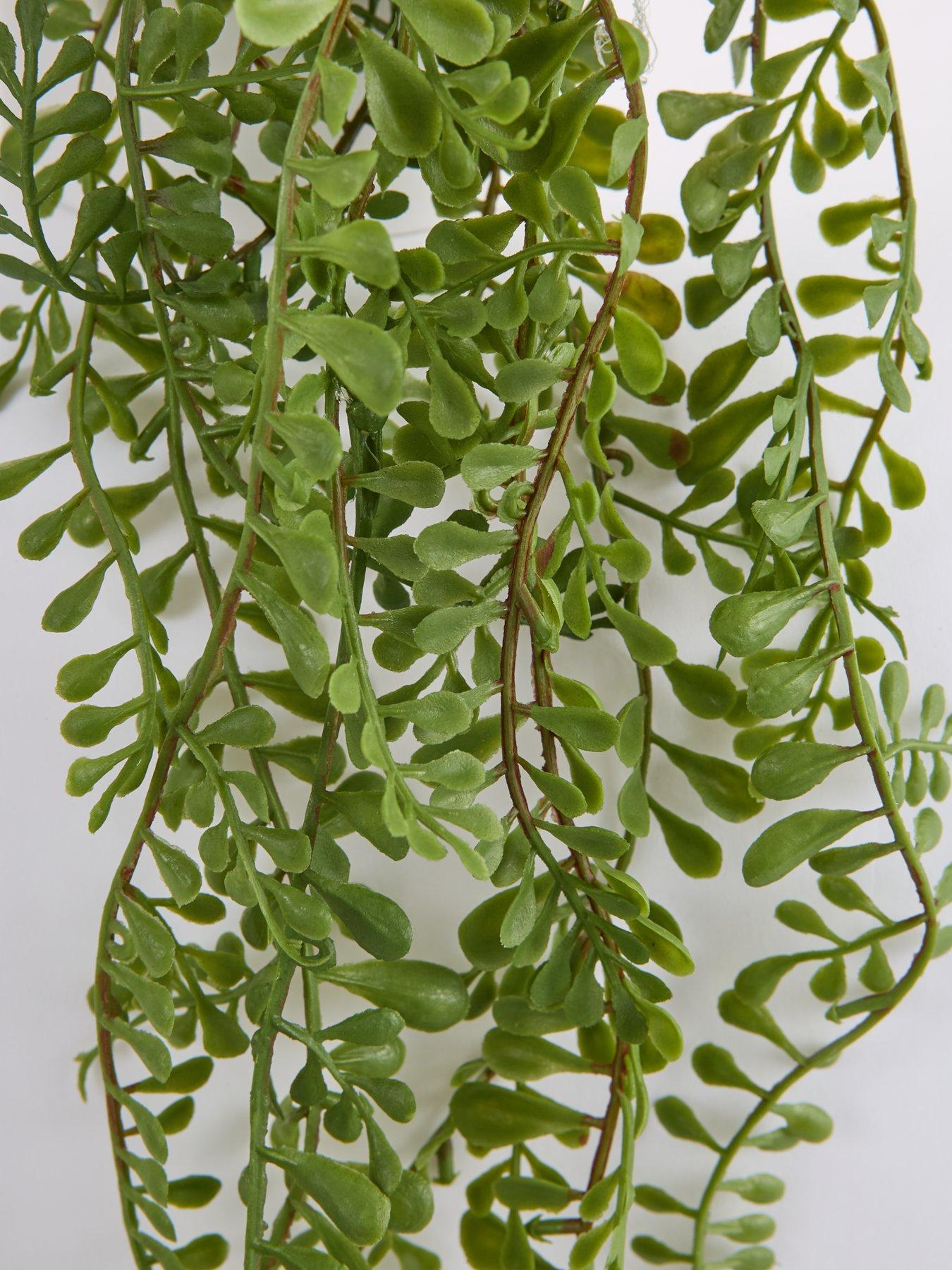 Image 4 of 6 of The Very Collection Set of 3 Trailing Faux Plants in White Ceramic Pots