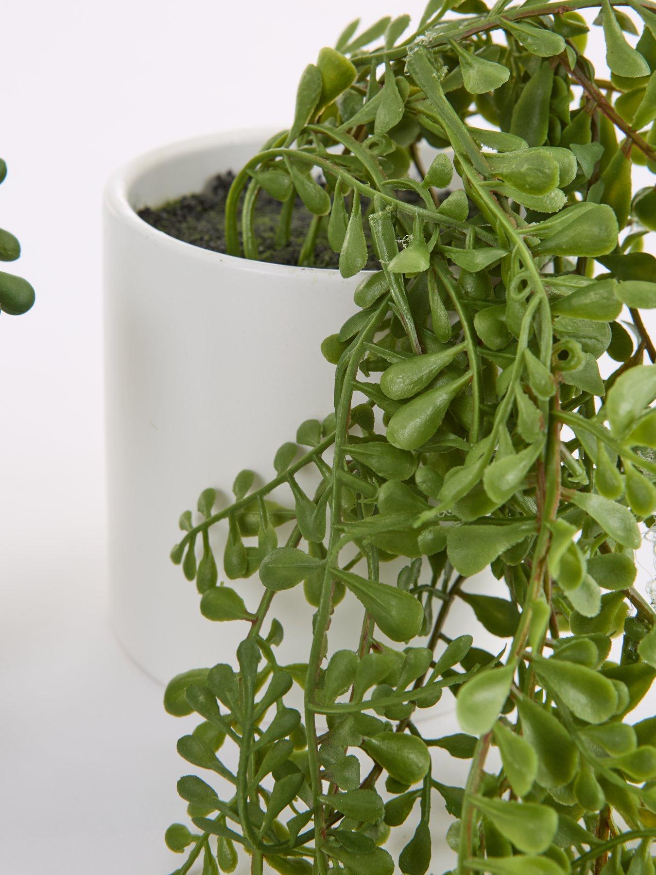 Image 6 of 6 of The Very Collection Set of 3 Trailing Faux Plants in White Ceramic Pots