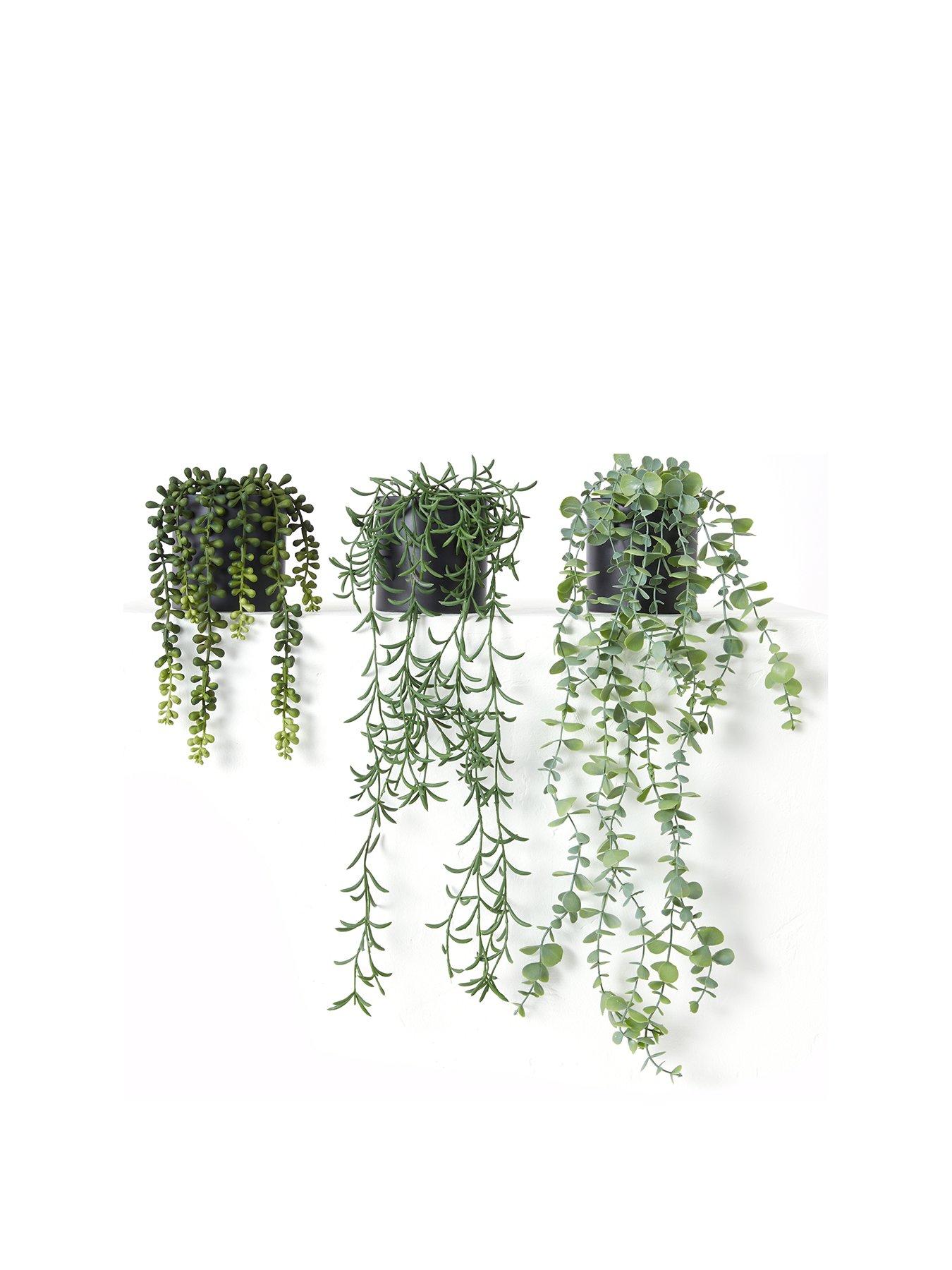Image 2 of 7 of The Very Collection Set Of 3 Trailing Faux Plants In Black Ceramic Pots
