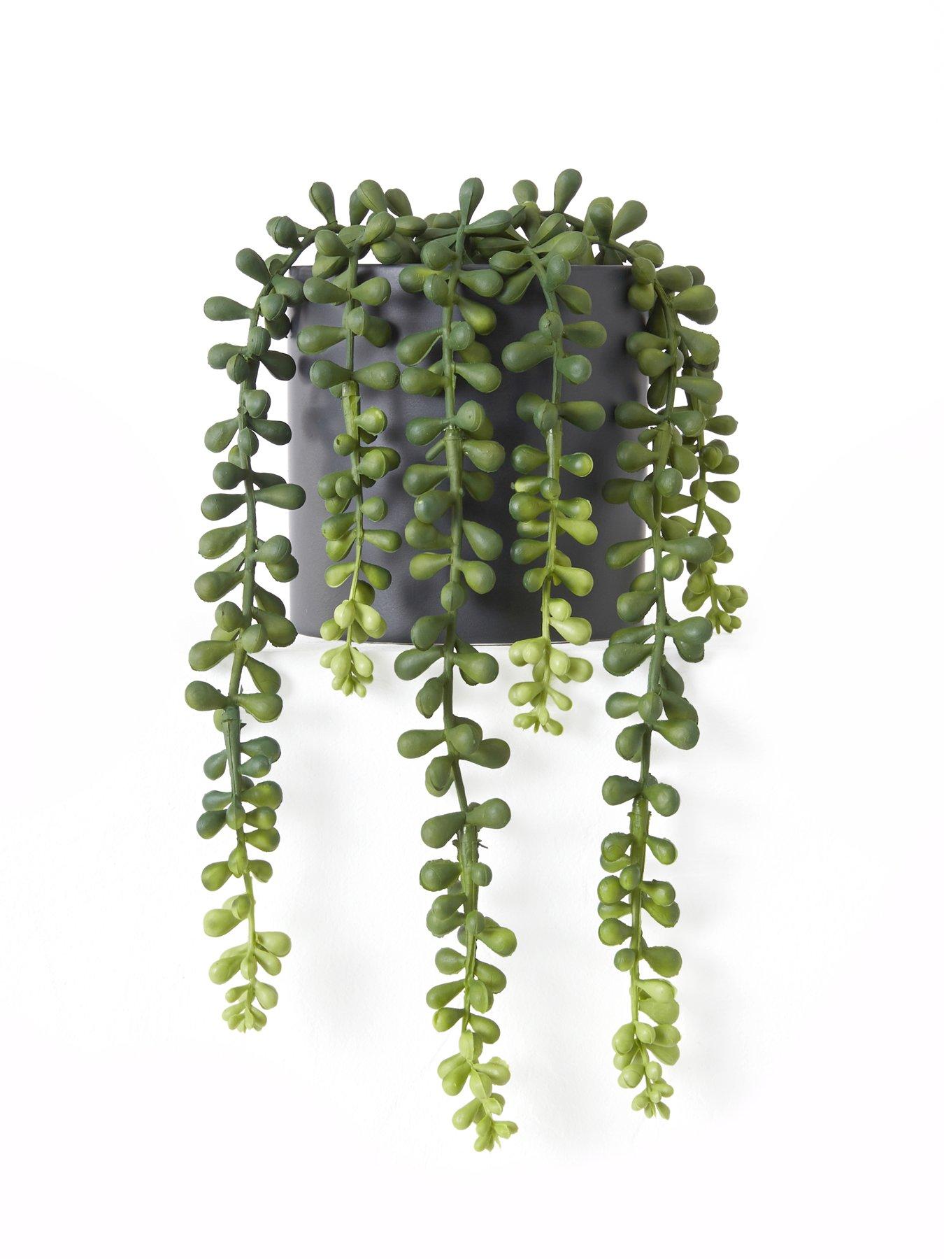 Image 3 of 7 of The Very Collection Set Of 3 Trailing Faux Plants In Black Ceramic Pots