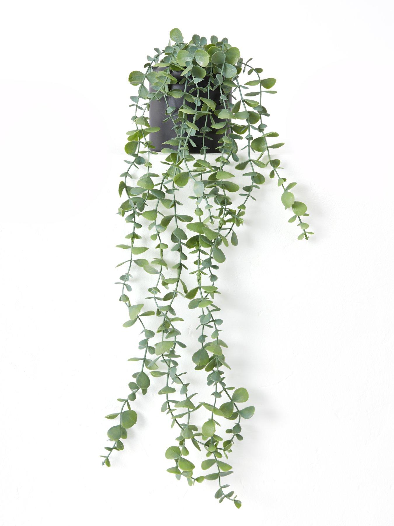 Image 4 of 7 of The Very Collection Set Of 3 Trailing Faux Plants In Black Ceramic Pots
