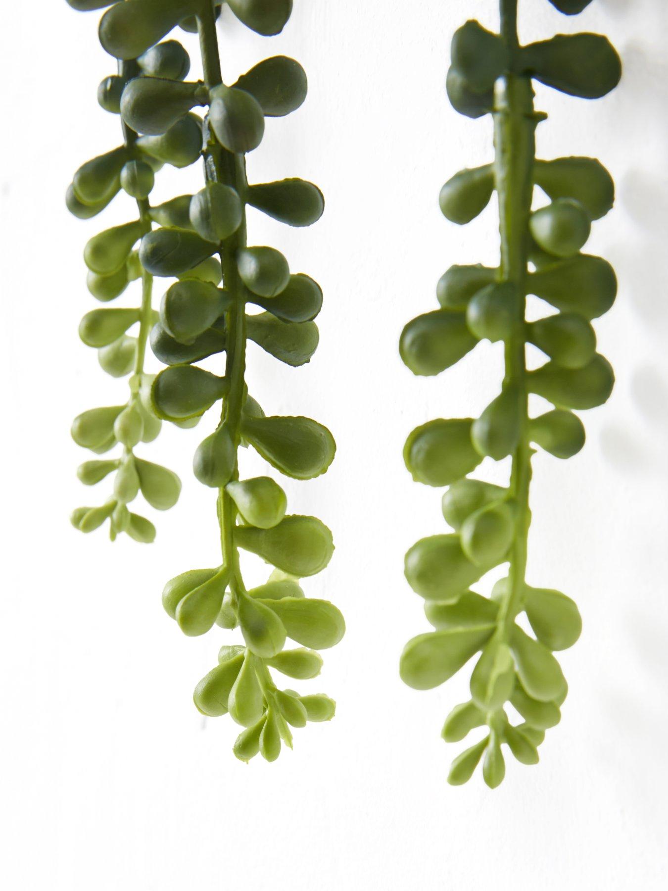 Image 5 of 7 of The Very Collection Set Of 3 Trailing Faux Plants In Black Ceramic Pots