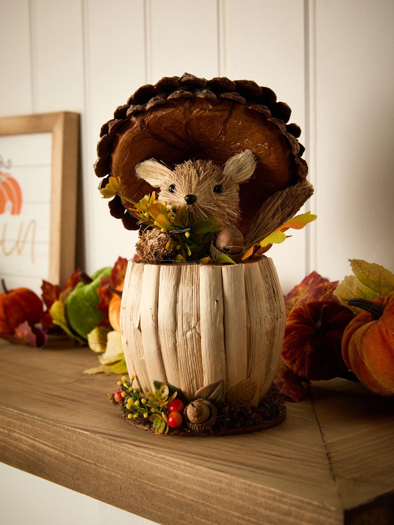 undefined Country Living Natural Handmade Squirrel in an Acorn Autumn Decoration