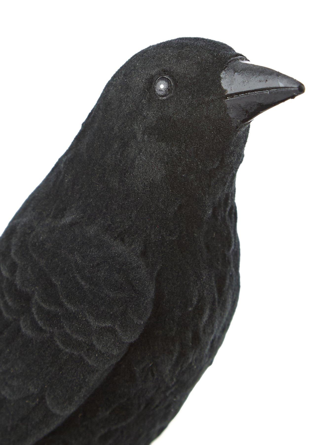 Image 6 of 6 of Hocus Pocus Crow On A Skull Halloween Decoration