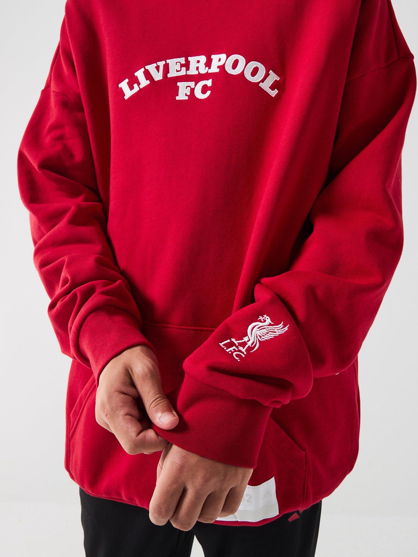 Image 4 of 6 of adidas Junior Liverpool USA Hoody -Red
