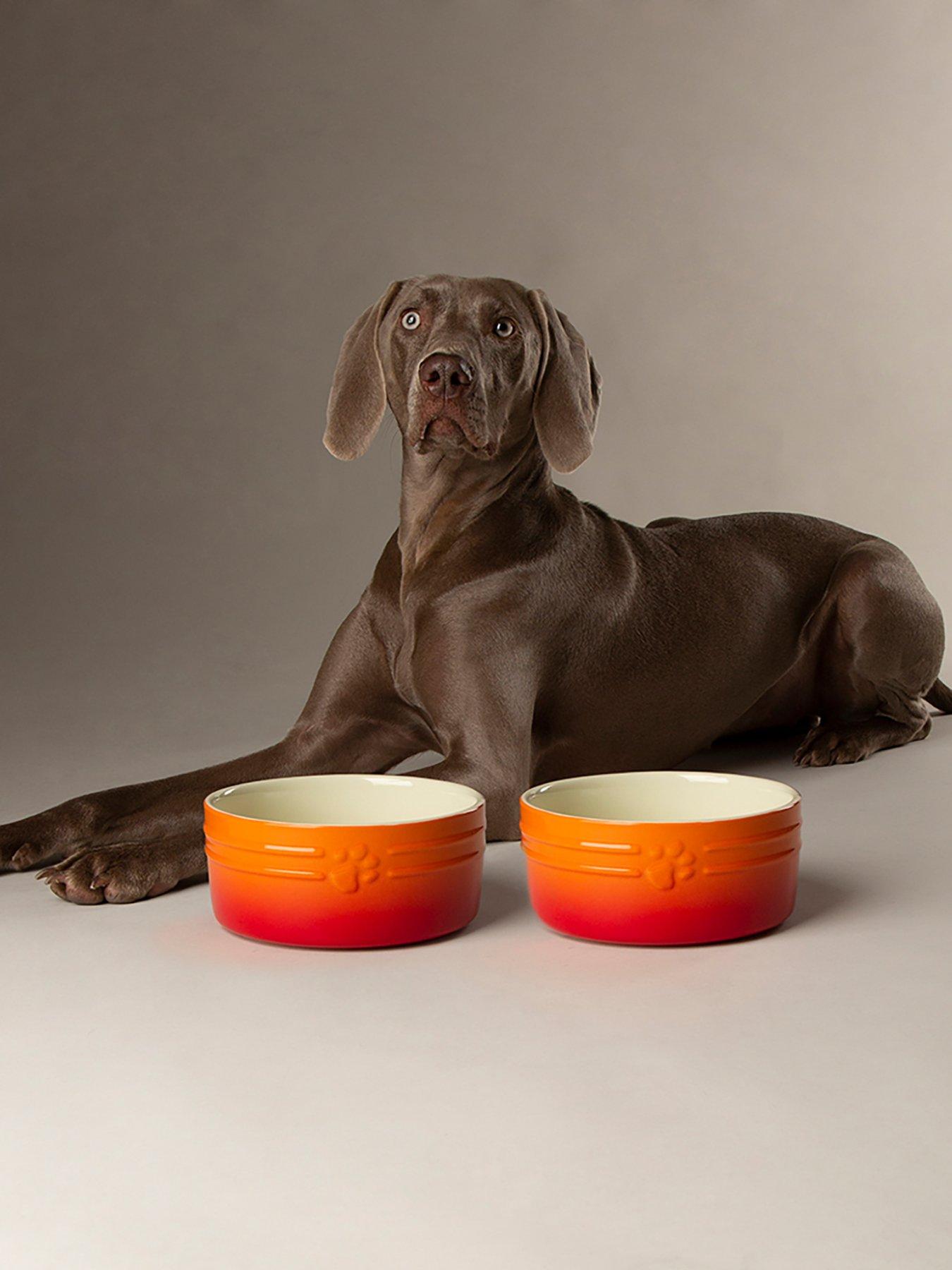 Scruffs Ombre 2pc Bowl Set - Orange 19cm