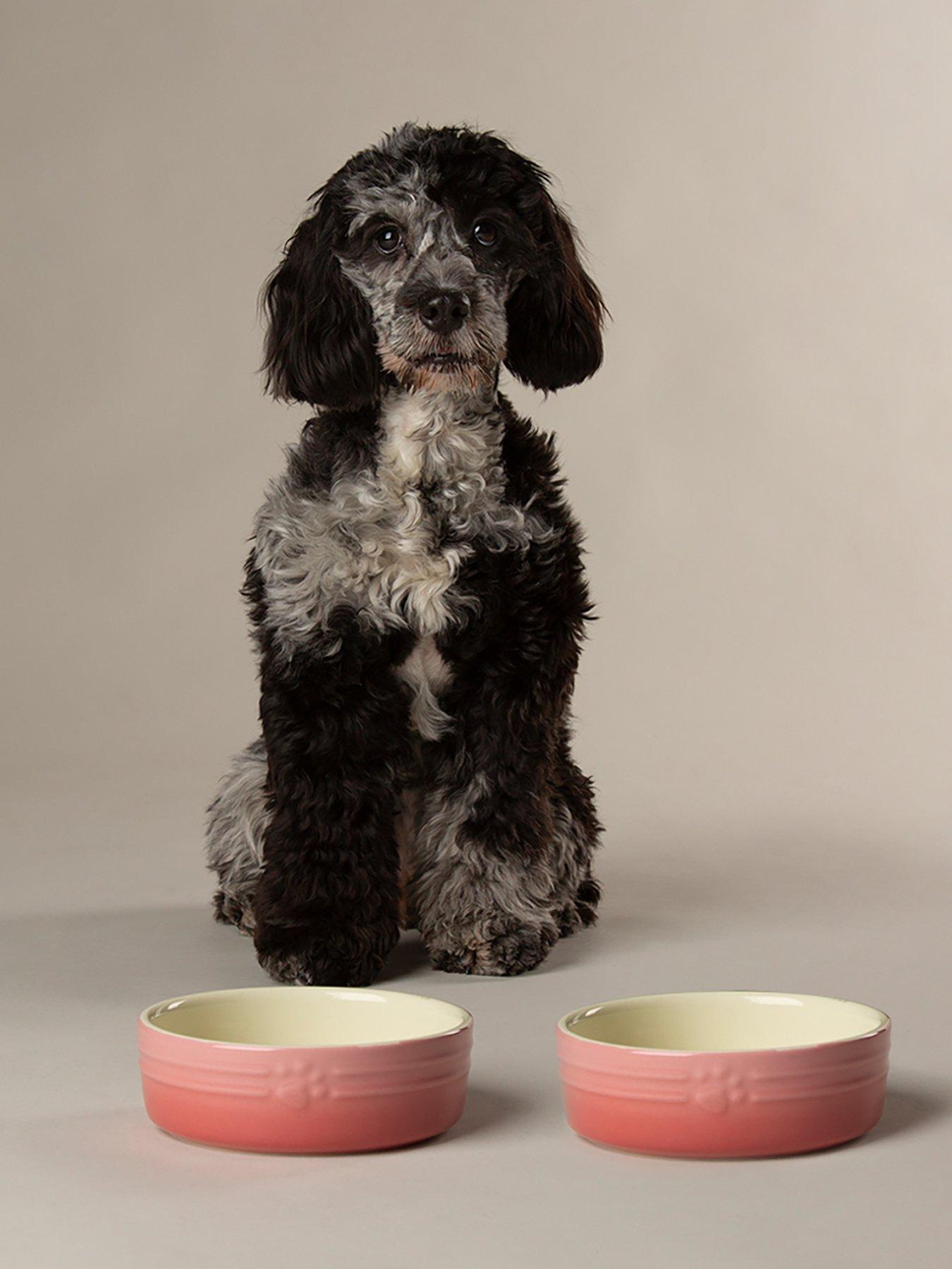 Image 1 of 7 of Scruffs Ombre 2pc Bowl Set - Pink 15cm