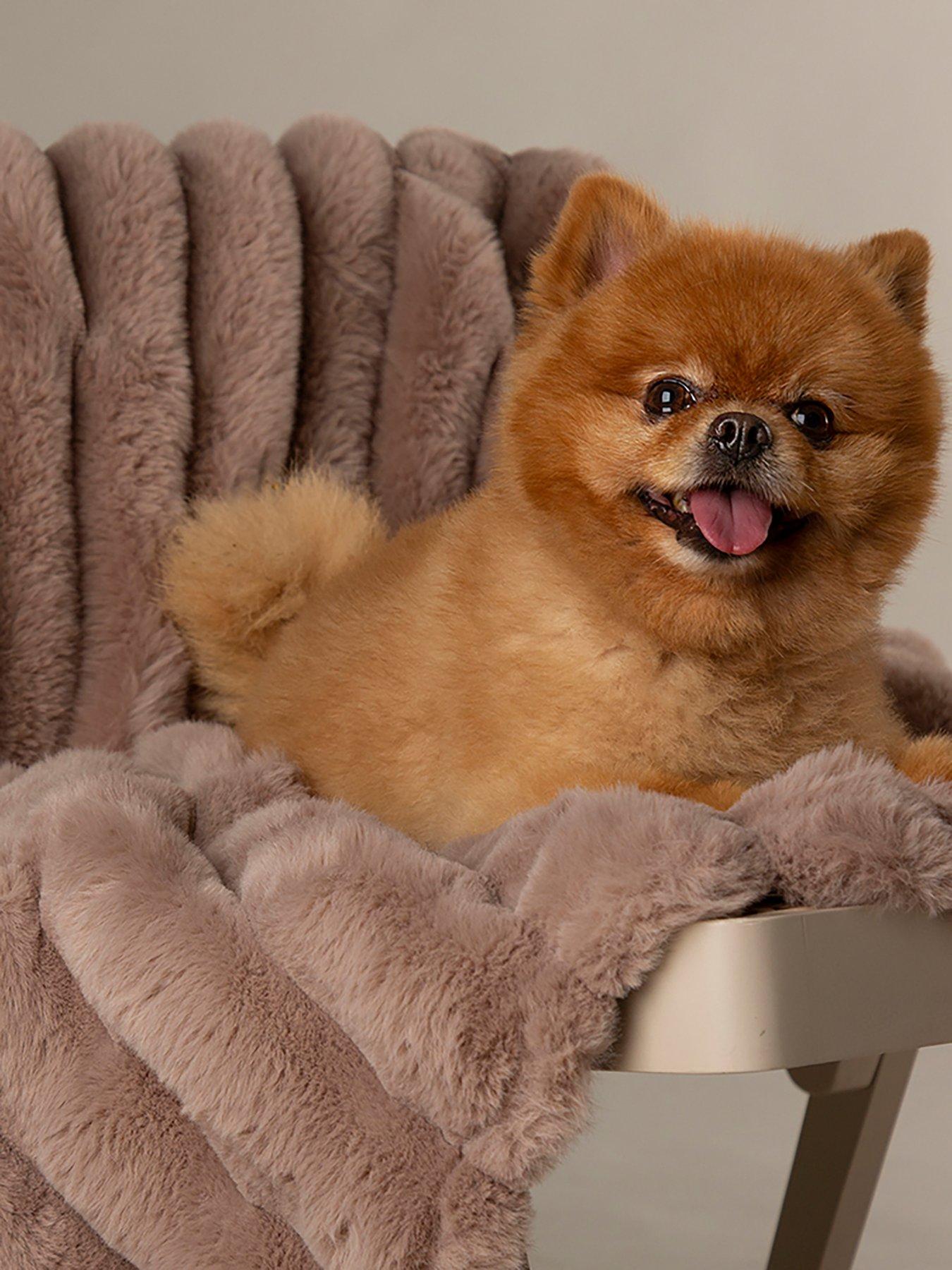 Scruffs Aspen Pet Blanket