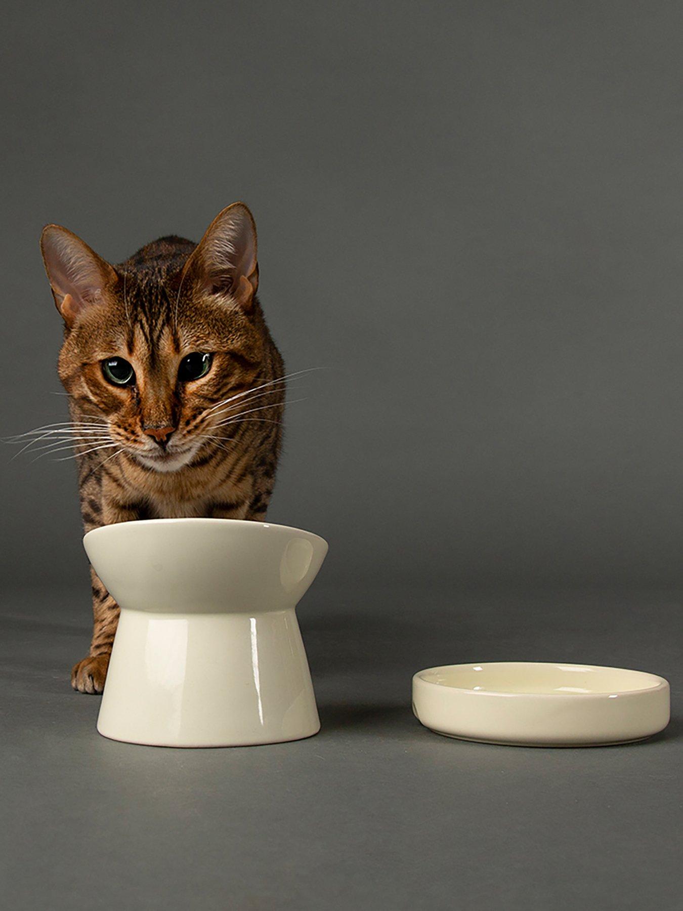 Scruffs Icon Raised Cat Feeder Bowl  &  Saucer Set - Cream
