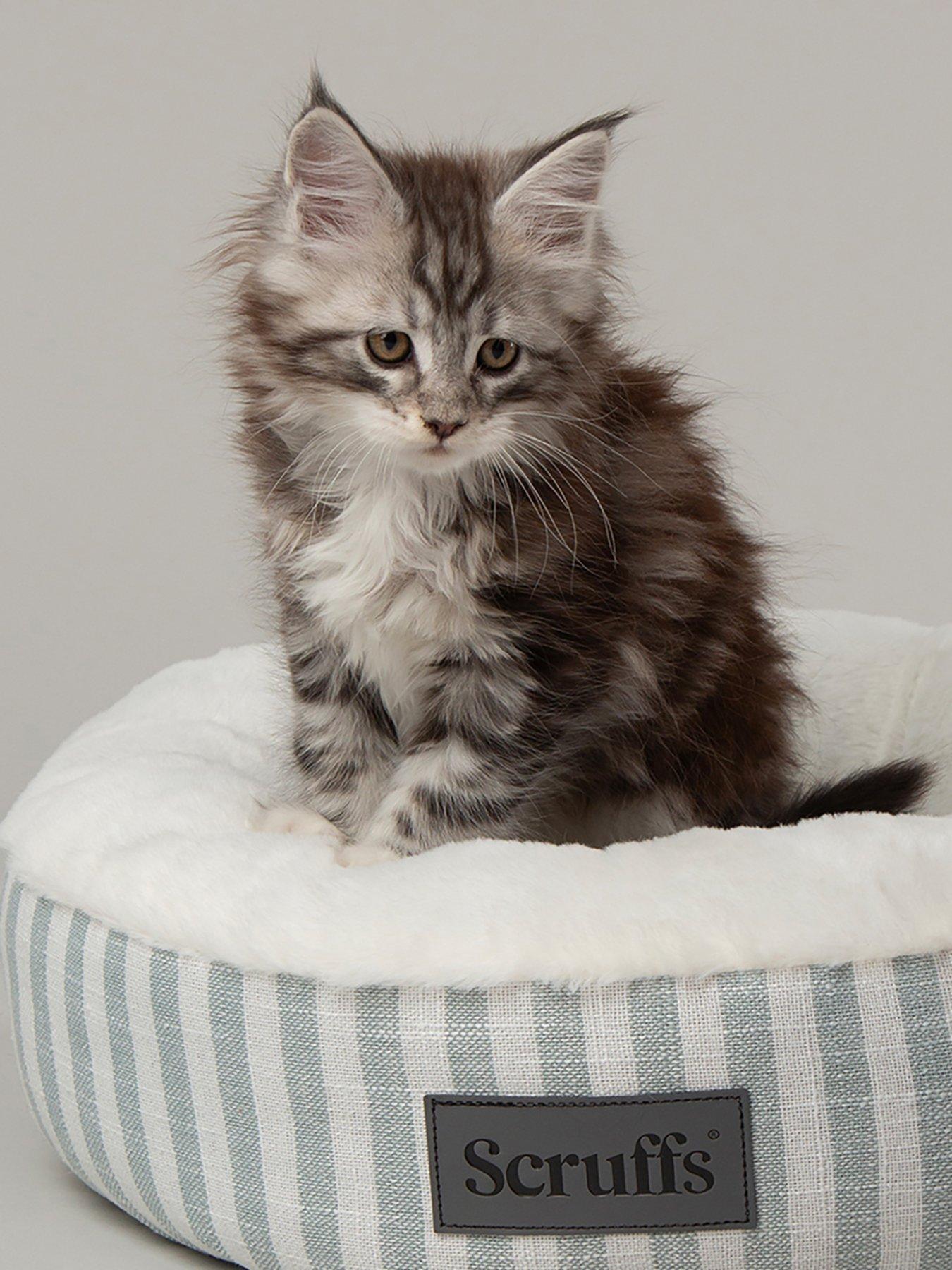 Scruffs Coastal Cat/Small Dog Bed