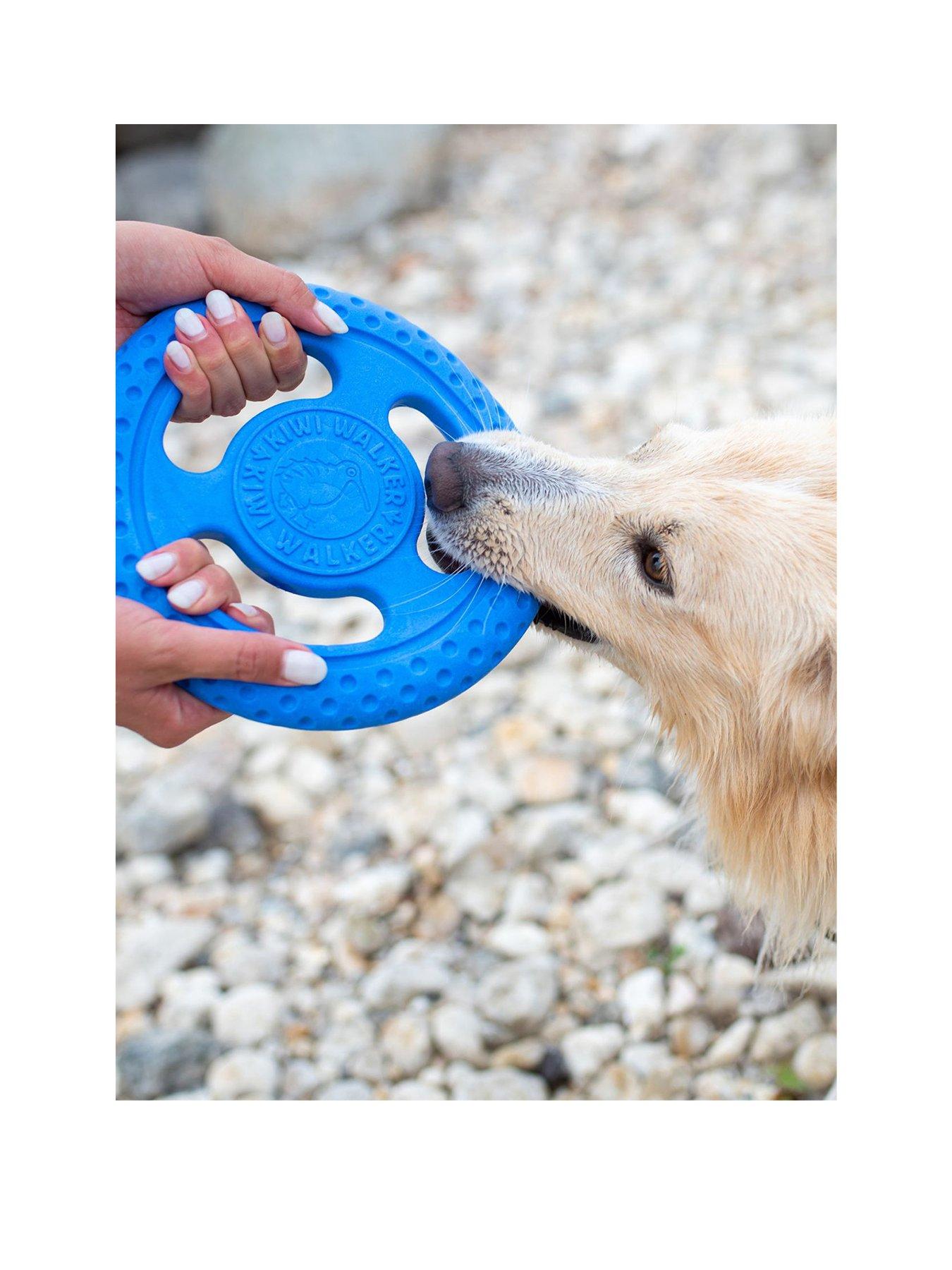 Image 2 of 2 of Kiwi Walker Let's play! FRISBEE - Blue
