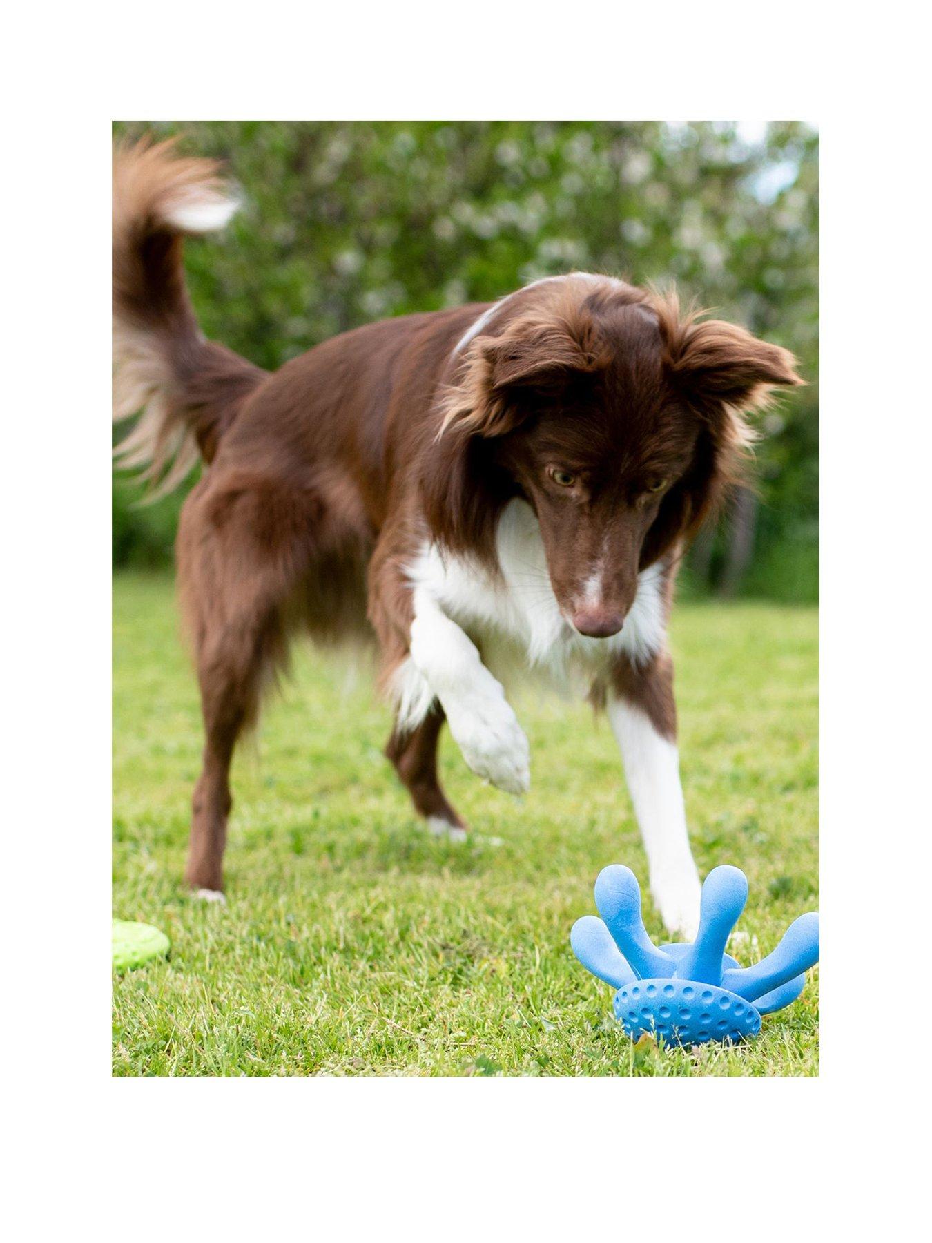 Image 2 of 4 of Kiwi Walker Let's play! OCTOPUS - Blue