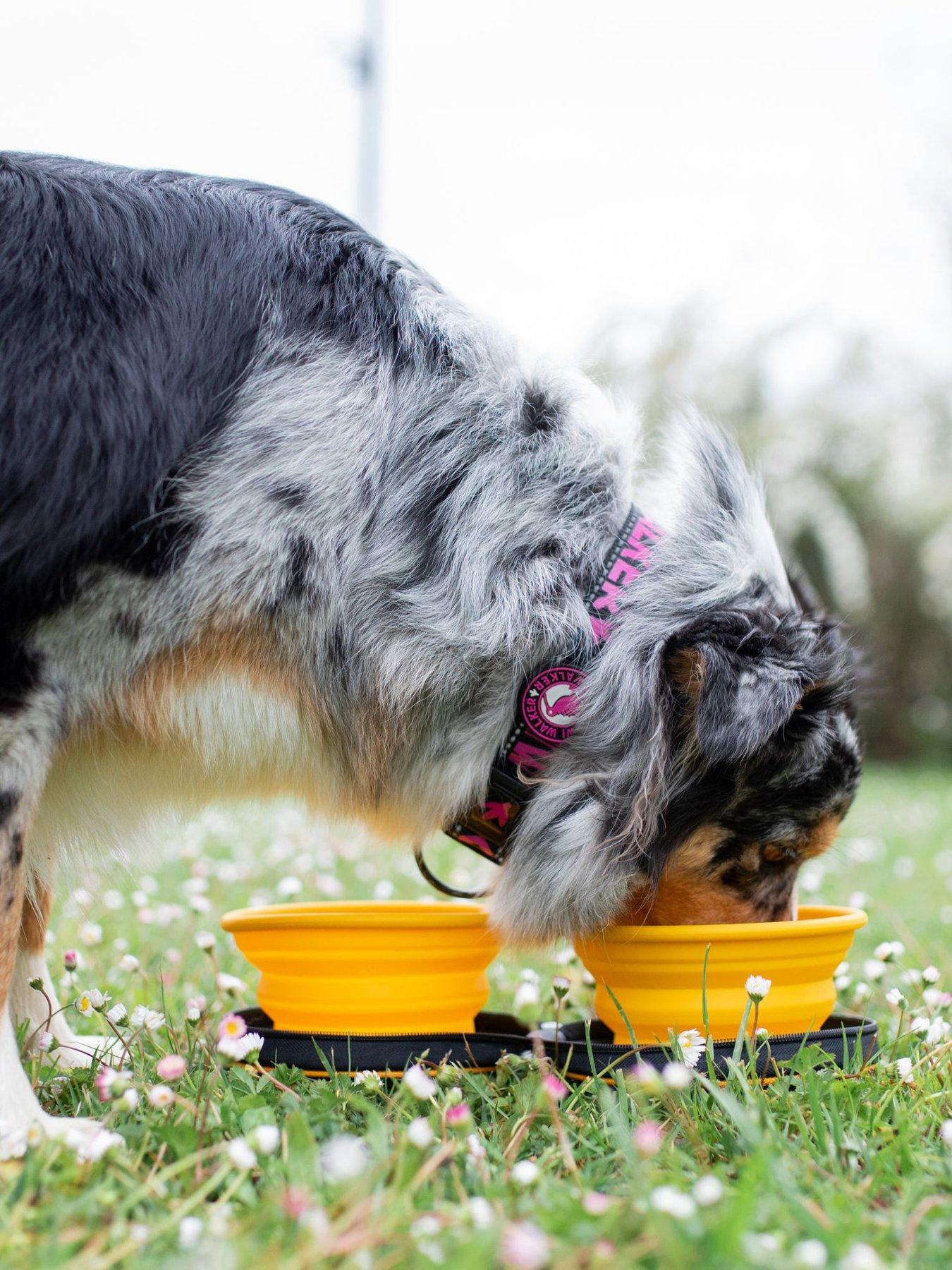 Image 3 of 5 of Kiwi Walker Double Travel Bowl - slowfeeder - Orange