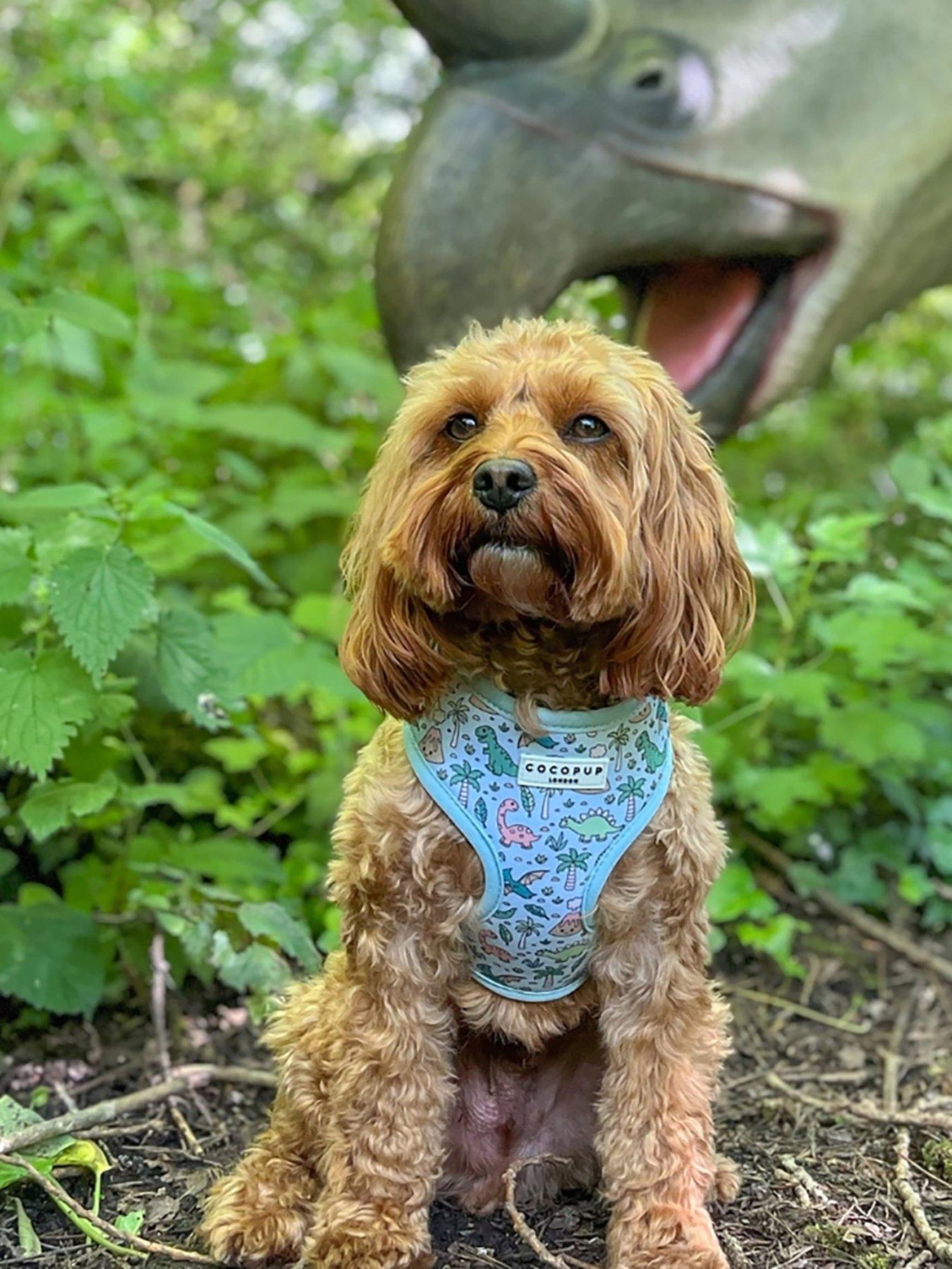 Cocopup Dinopaws Harness