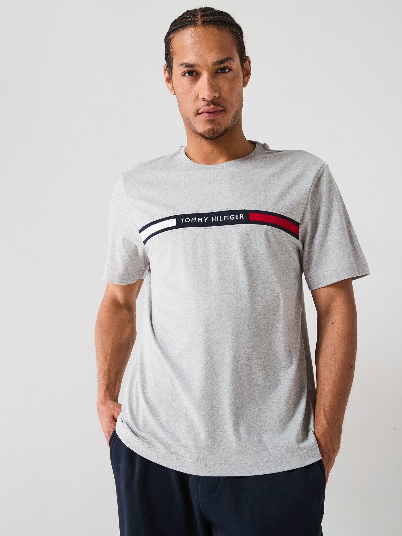 undefined Regular Fit Chest Stripe T-Shirt - Light Grey