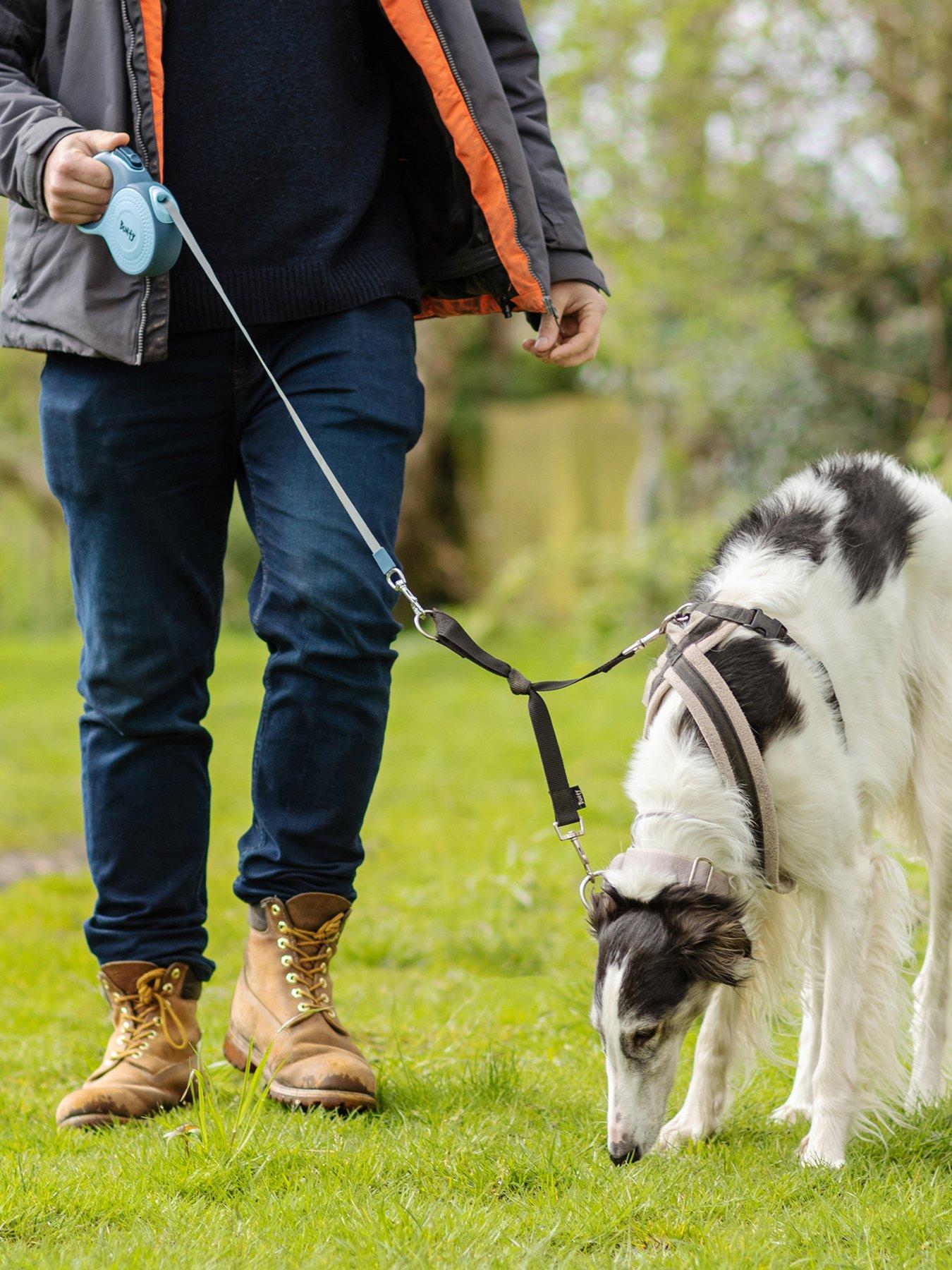 undefined Explorer Pet Lead
