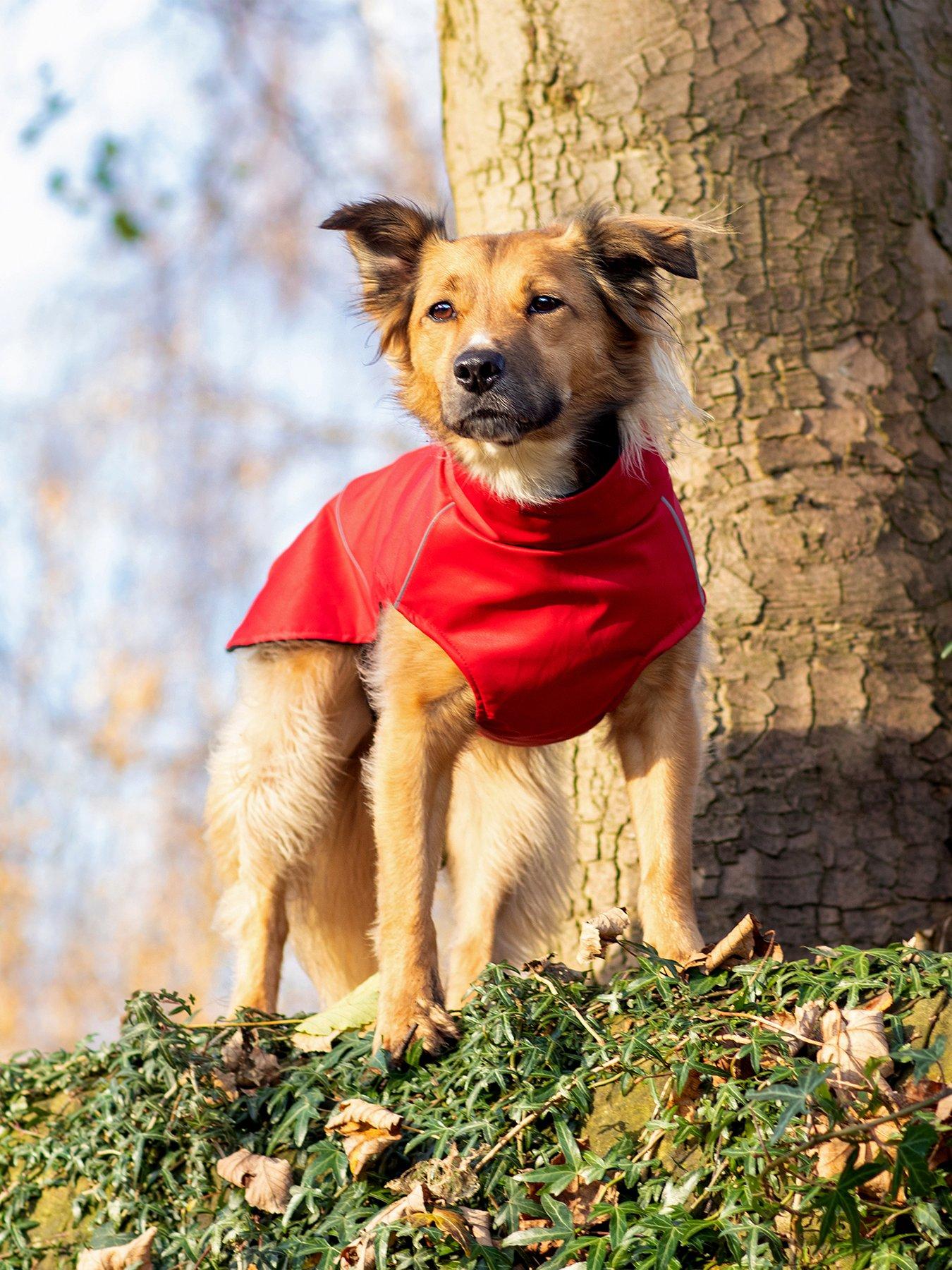 Bunty DownPaw Jacket