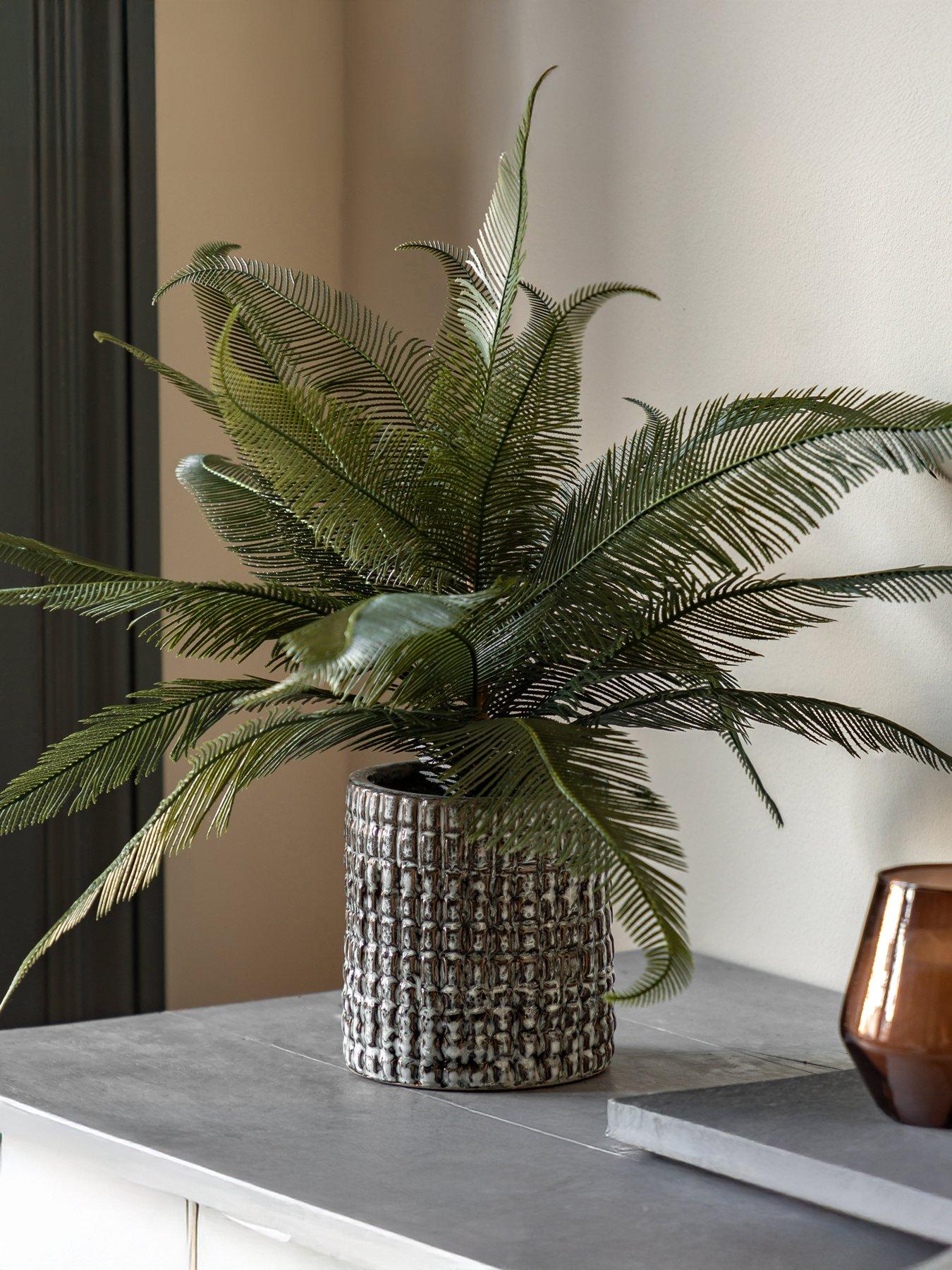 Gallery Direct Wide Fern In Concrete Pot