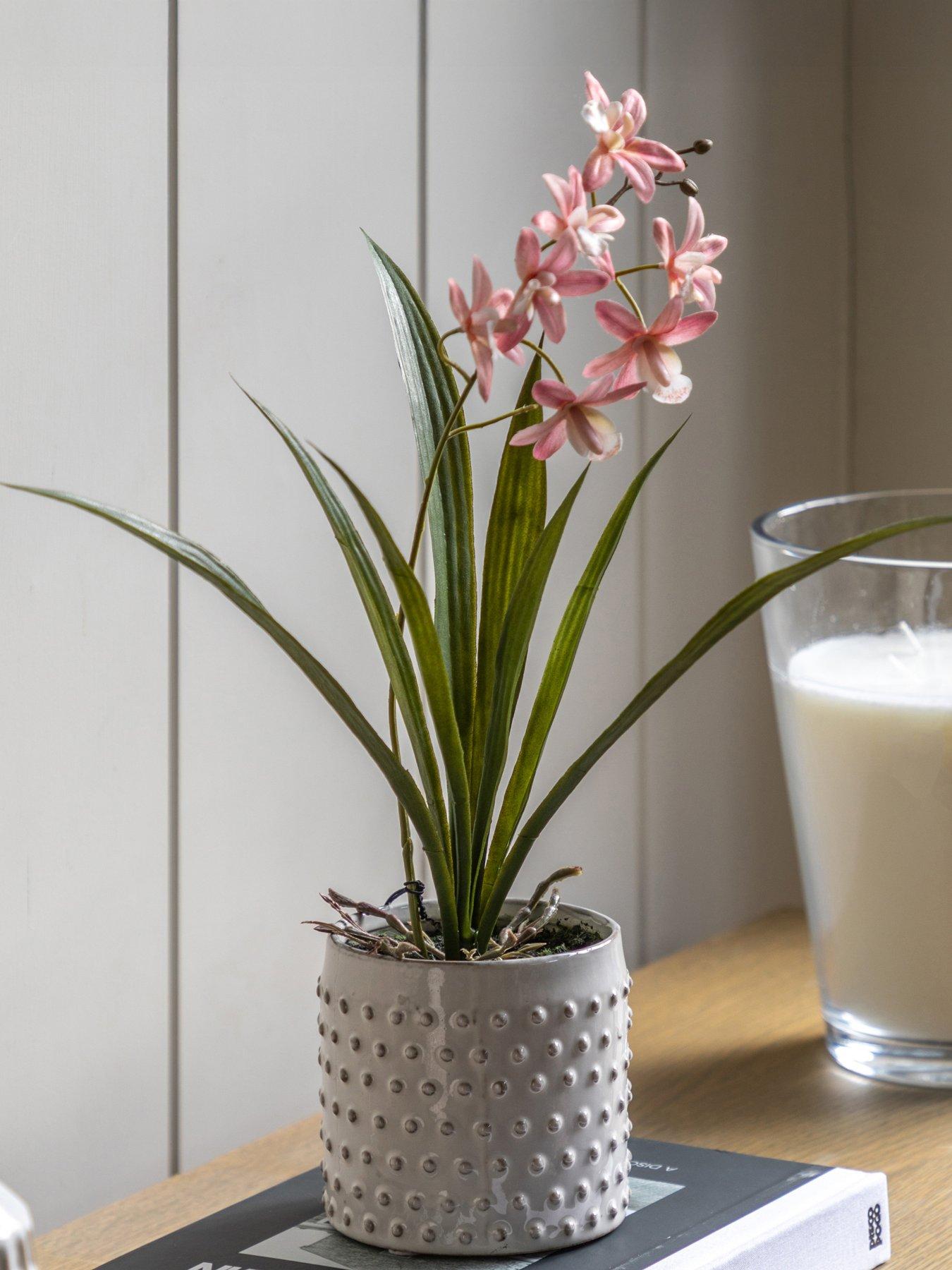 Image 1 of 6 of Gallery Direct Orchid Pink In White Ceramic Dot Pot 400mm