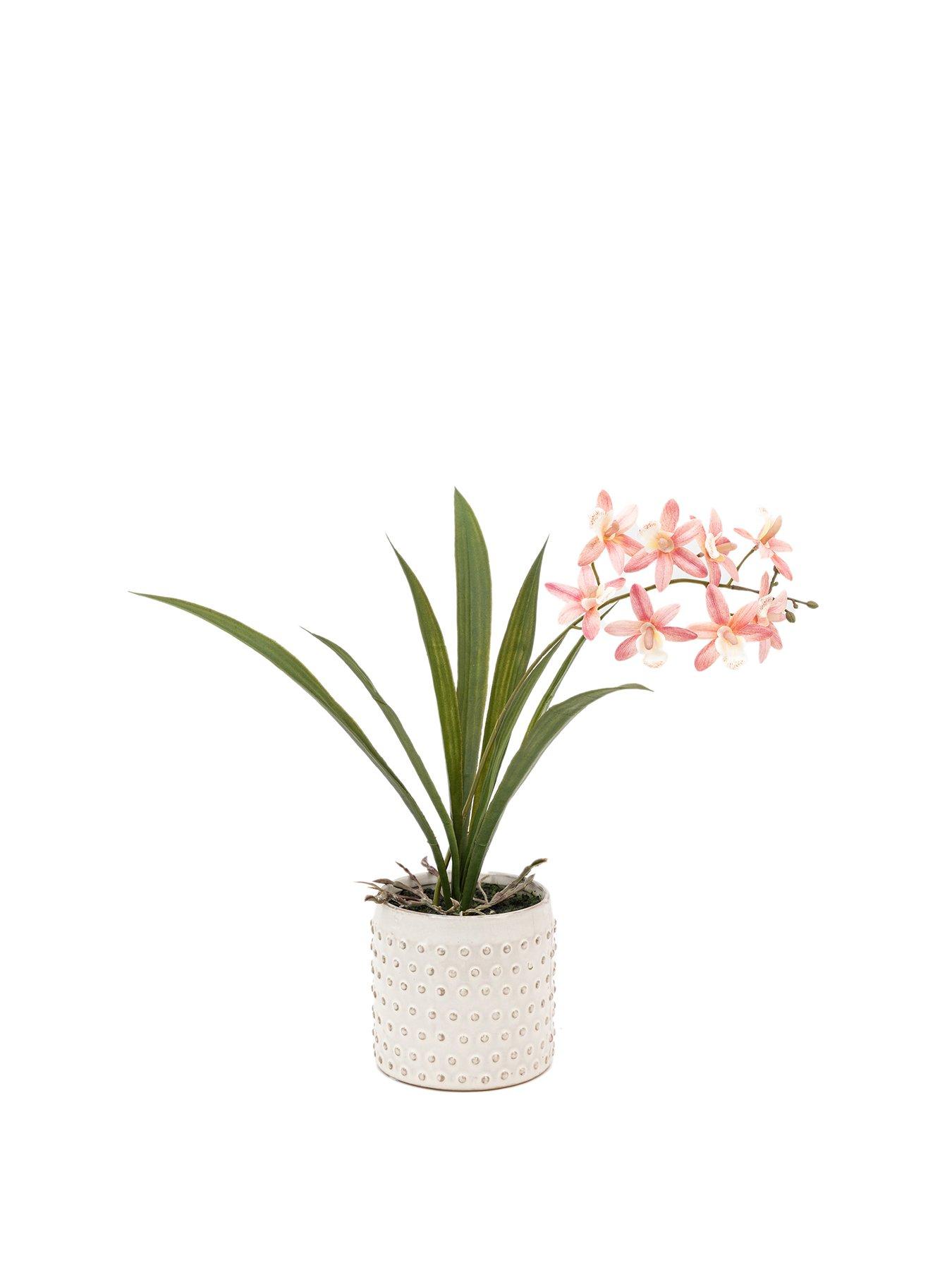 Image 2 of 6 of Gallery Direct Orchid Pink In White Ceramic Dot Pot 400mm