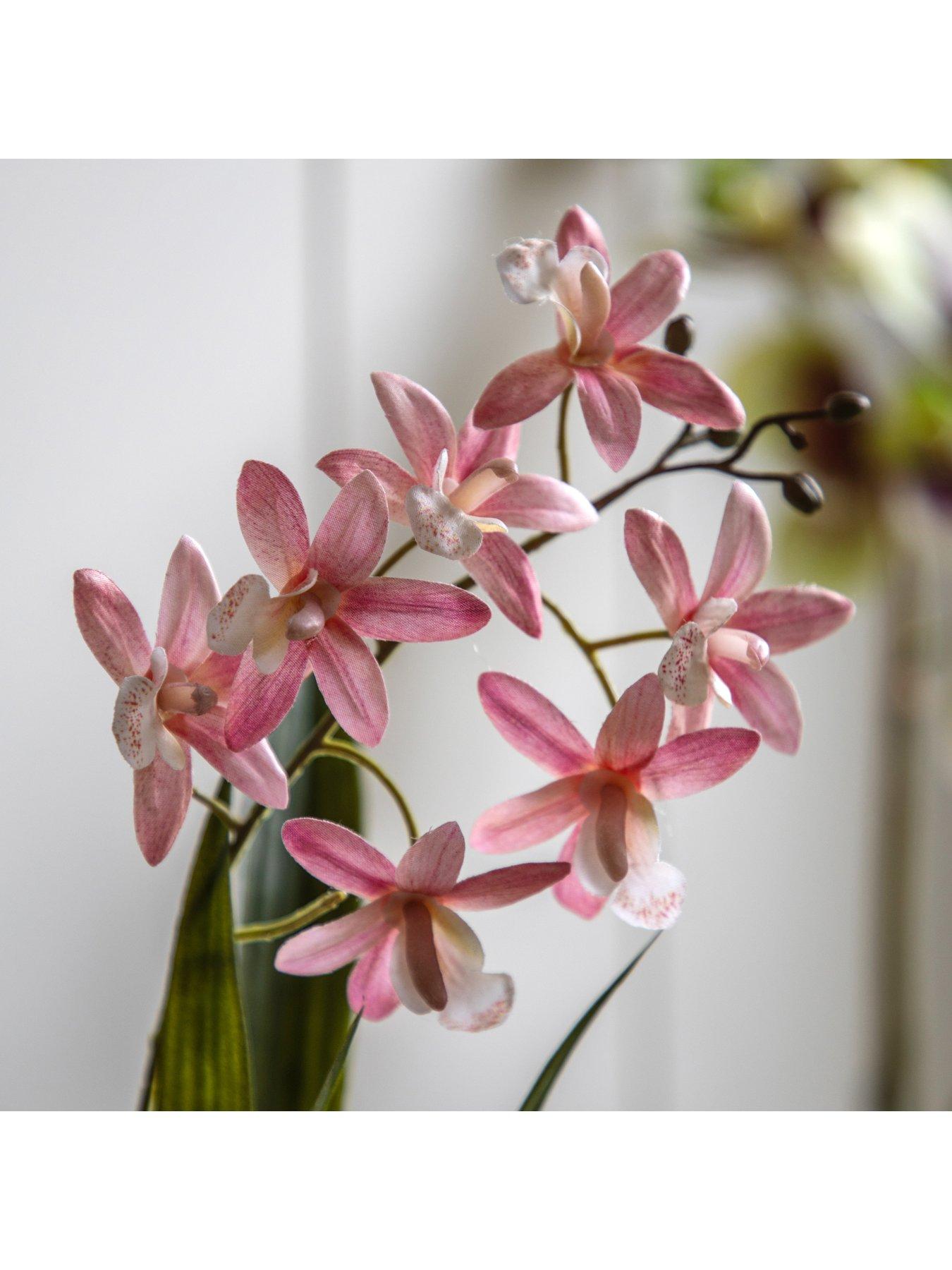 Image 3 of 6 of Gallery Direct Orchid Pink In White Ceramic Dot Pot 400mm