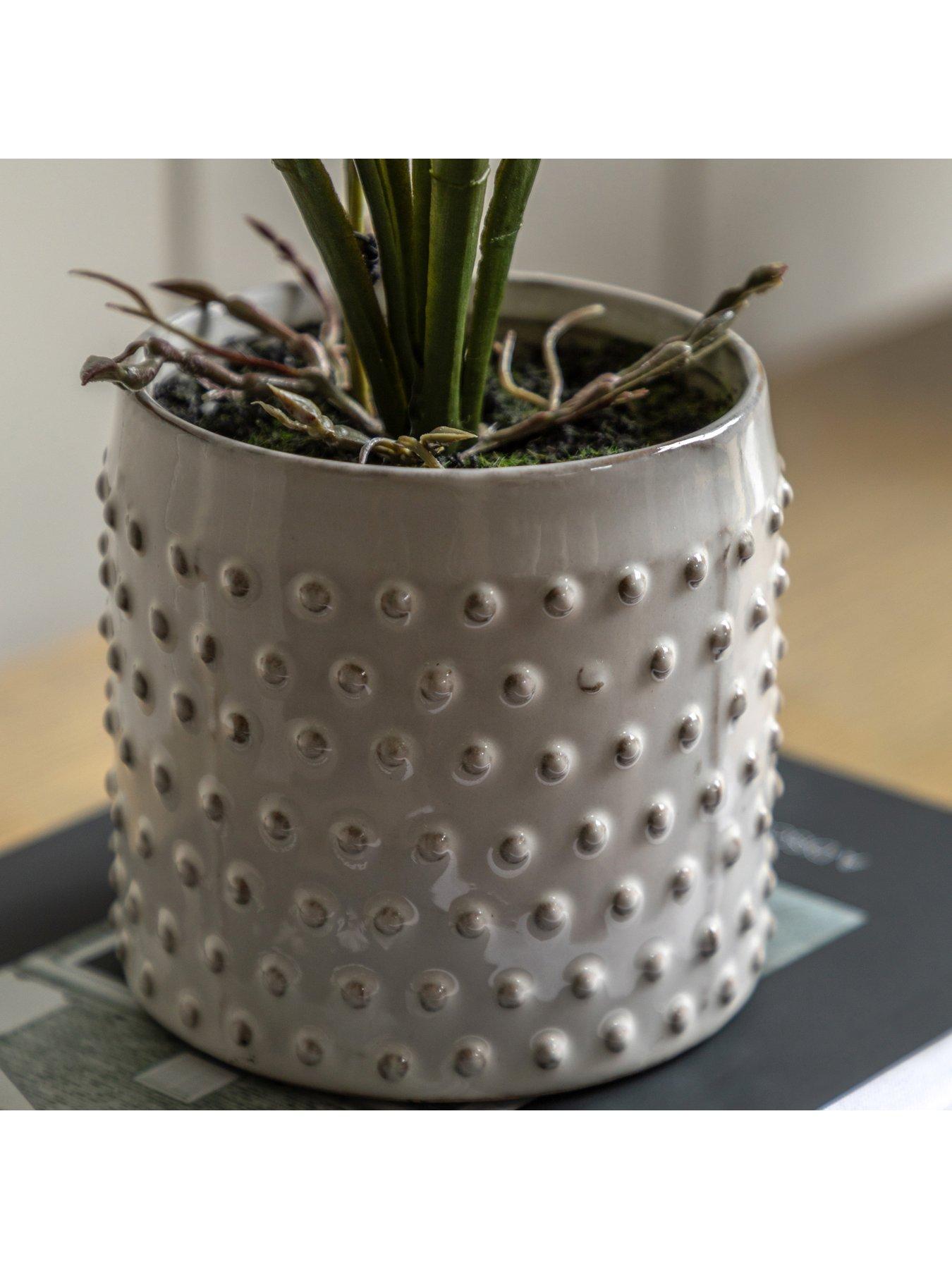 Image 4 of 6 of Gallery Direct Orchid Pink In White Ceramic Dot Pot 400mm