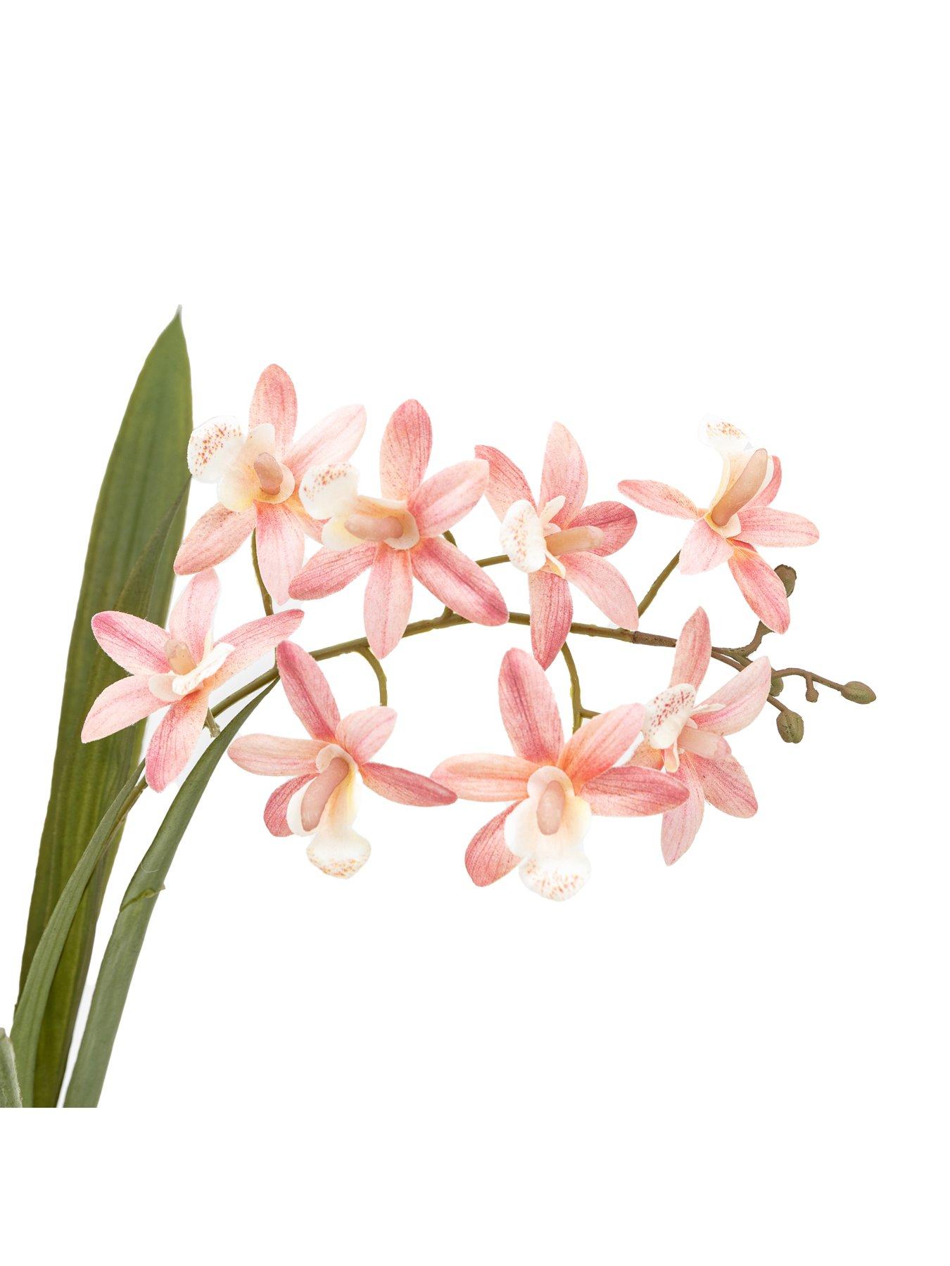Image 5 of 6 of Gallery Direct Orchid Pink In White Ceramic Dot Pot 400mm