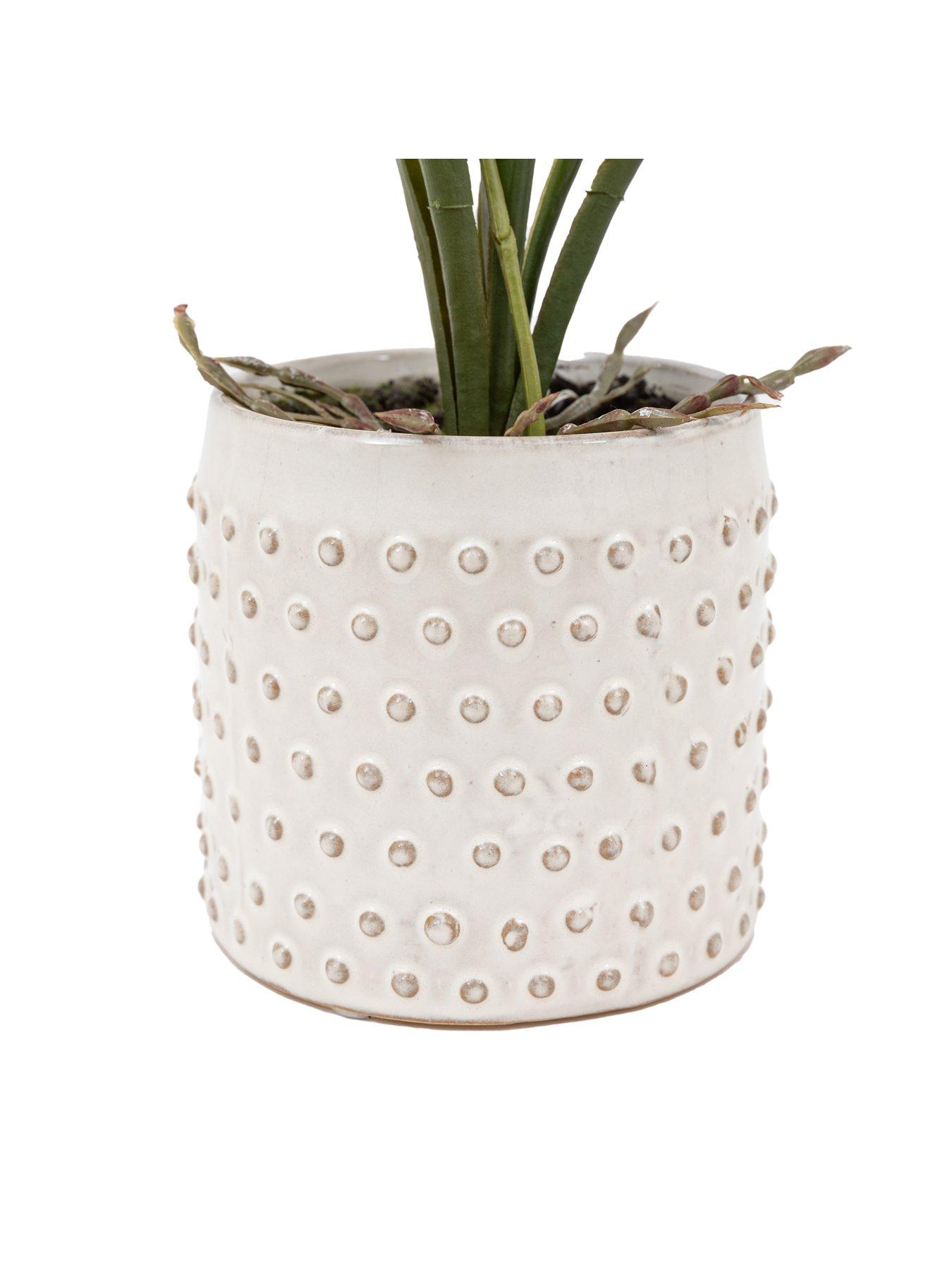 Image 6 of 6 of Gallery Direct Orchid Pink In White Ceramic Dot Pot 400mm