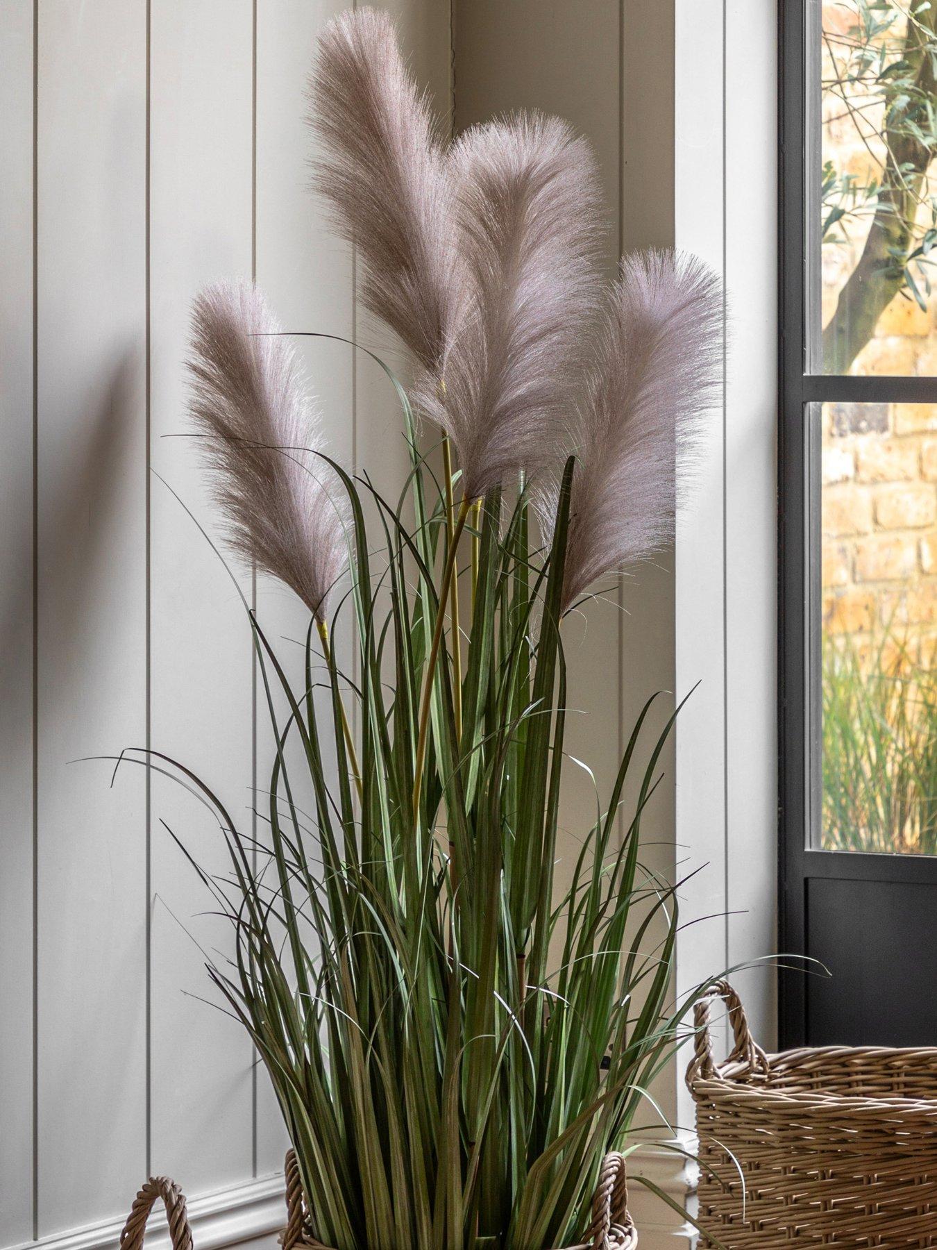 Gallery Direct Potted Grass With Pampas Seed Heads (5pk) 1270mm