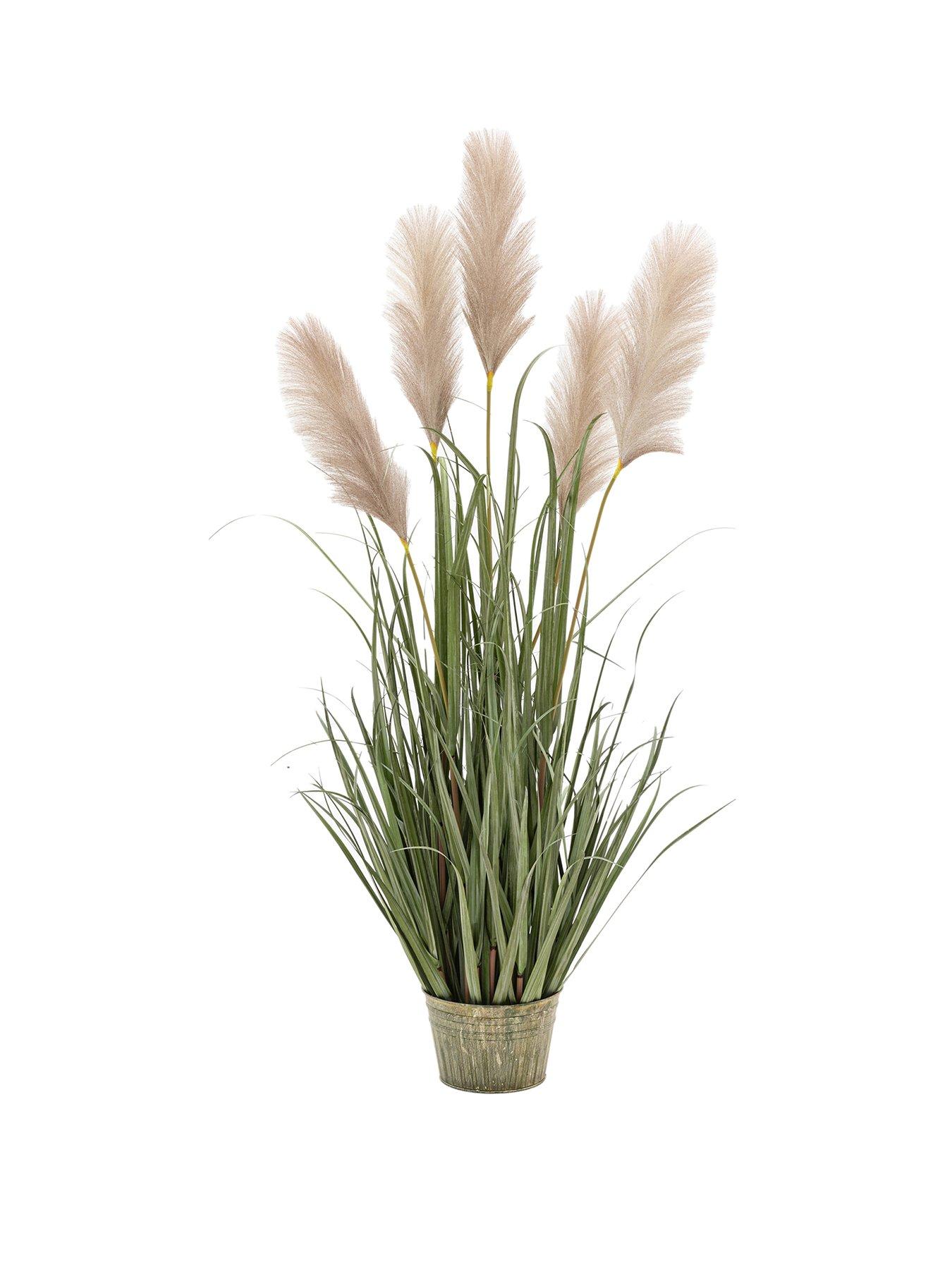 Image 2 of 5 of Gallery Direct Potted Grass With Pampas Seed Heads (5pk) 1270mm