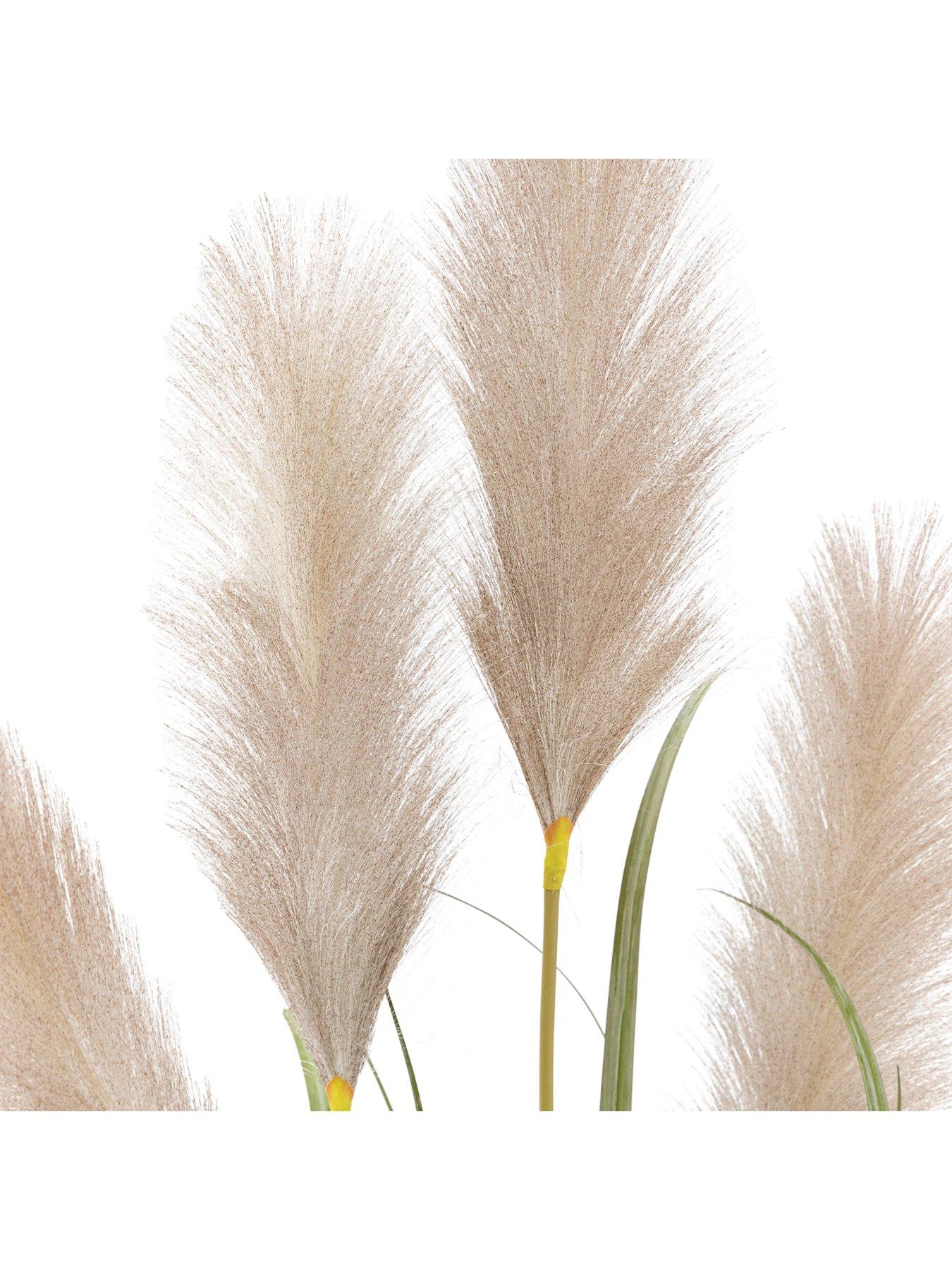 Image 4 of 5 of Gallery Direct Potted Grass With Pampas Seed Heads (5pk) 1270mm