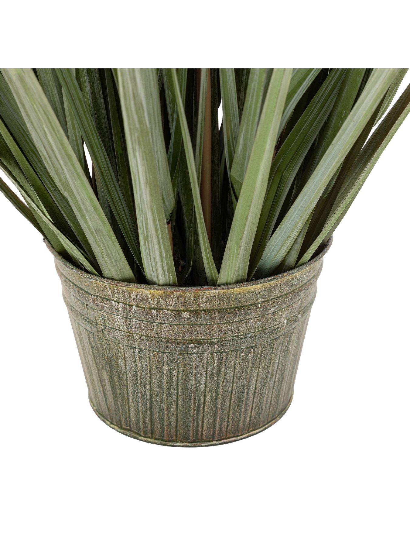 Image 5 of 5 of Gallery Direct Potted Grass With Pampas Seed Heads (5pk) 1270mm