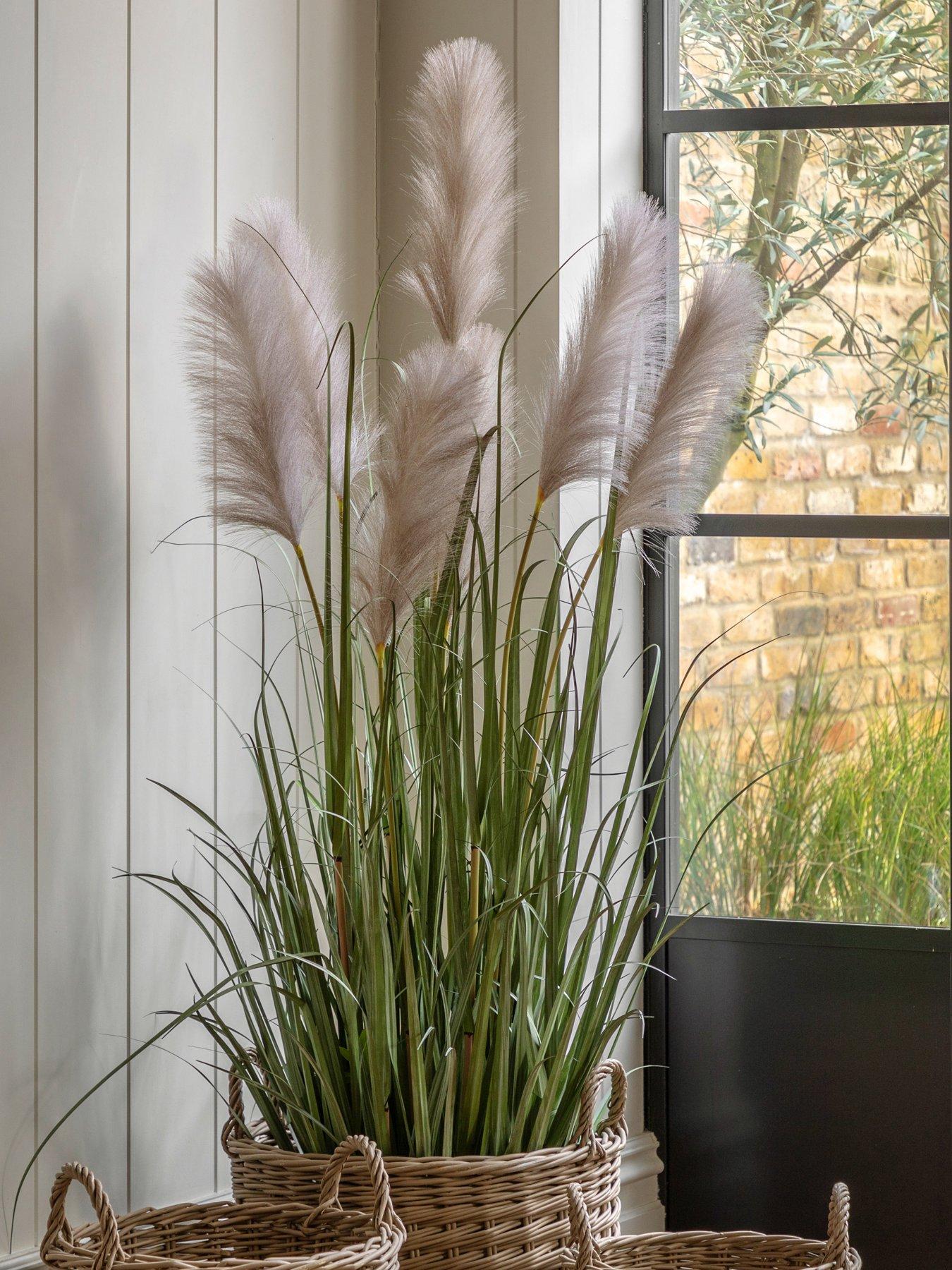 Gallery Direct Potted Grass With Pampas Seed Heads (5pk) 1570mm