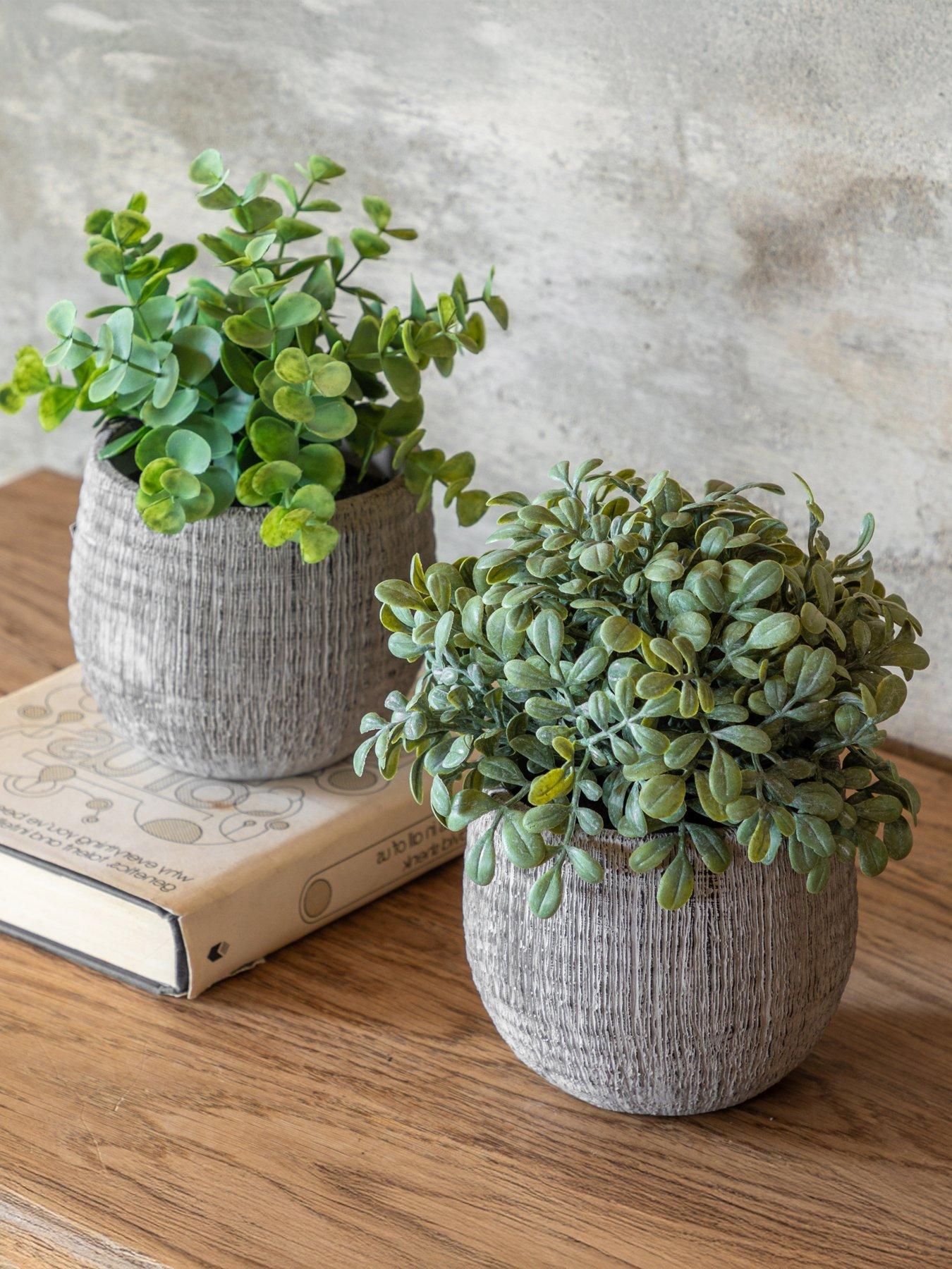 undefined Potted Plant Ceramic Scratch Pots Sage S/2