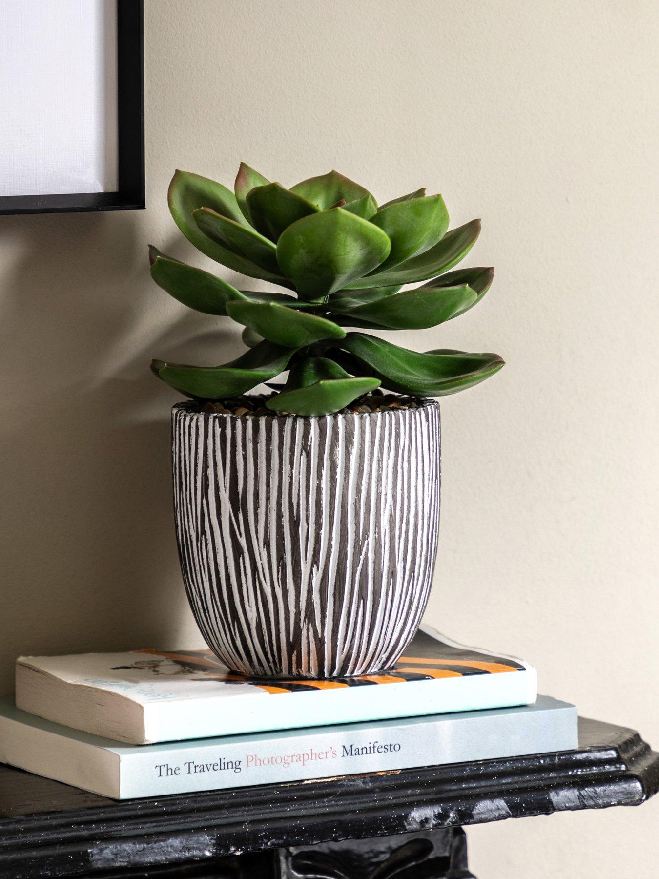Image 1 of 6 of Gallery Direct Potted Succulent In Ribbed Black Ceramic Pot