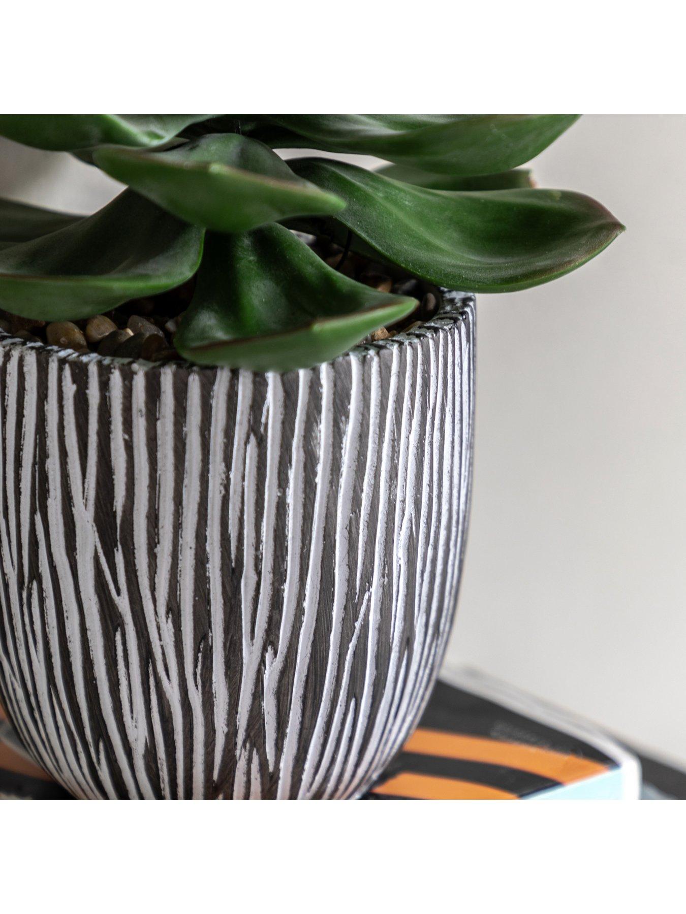 Image 3 of 6 of Gallery Direct Potted Succulent In Ribbed Black Ceramic Pot
