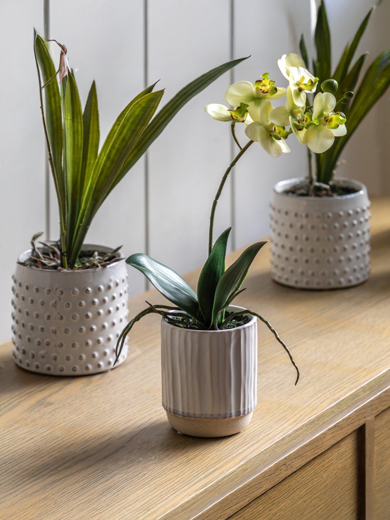 Gallery Direct Orchid Cream In Ribbed White Ceramic Pot 320mm