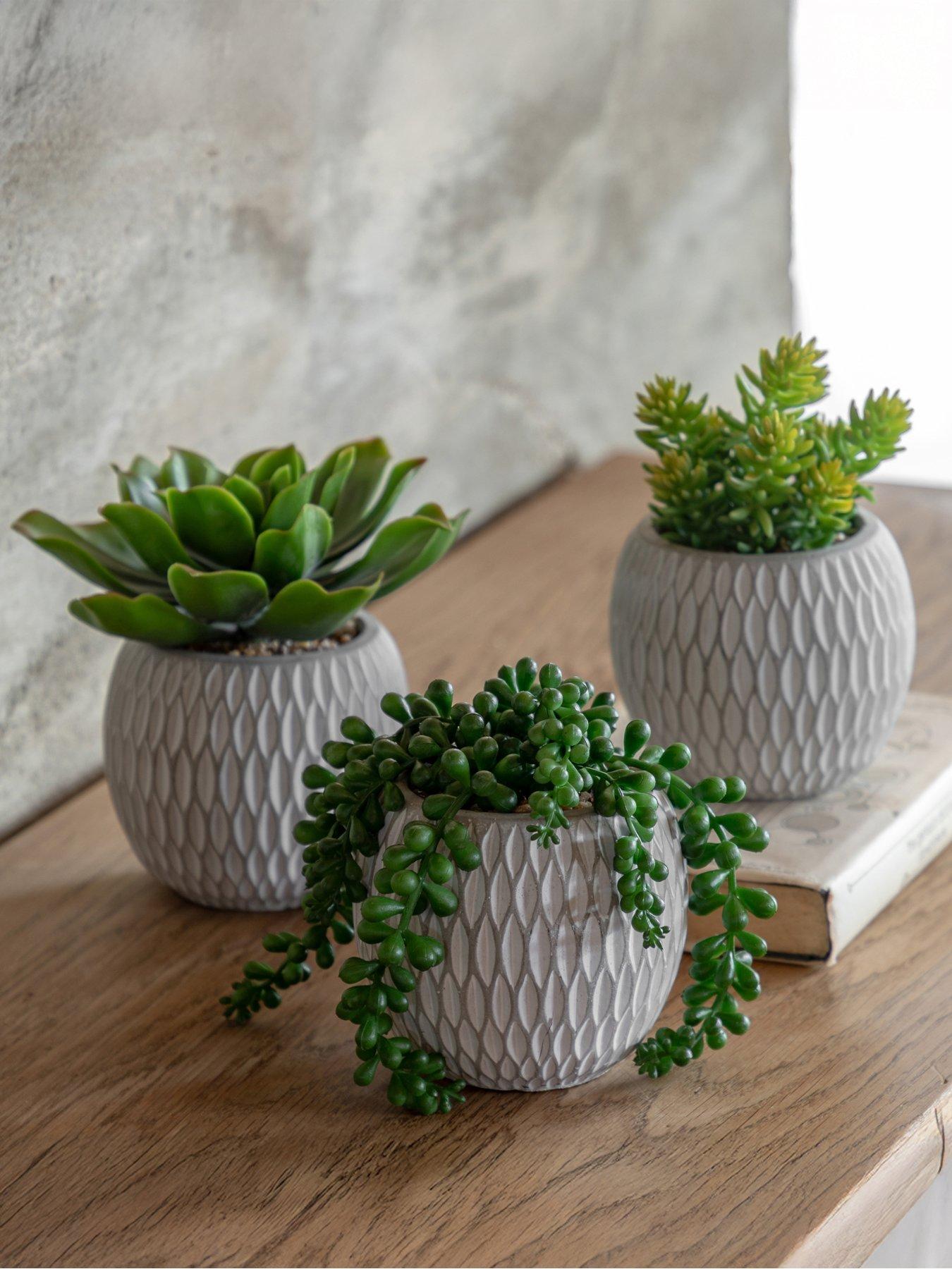 undefined Small Succulents Ceramic Pots Set Of 3
