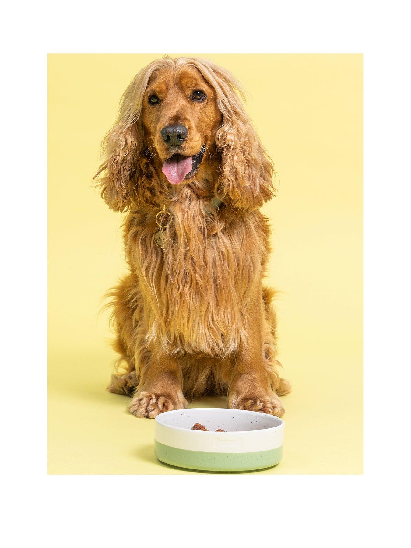 undefined SET OF 2 COLOUR DIP BONE 18CM BOWLS