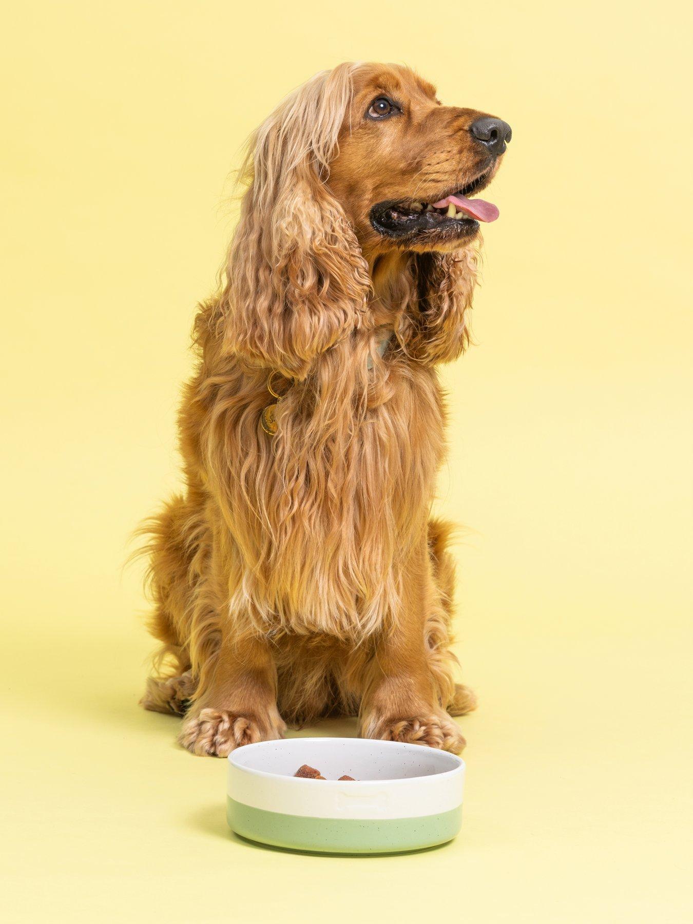  image of mason-cash-set-of-2-colour-dip-bone-18cm-bowls