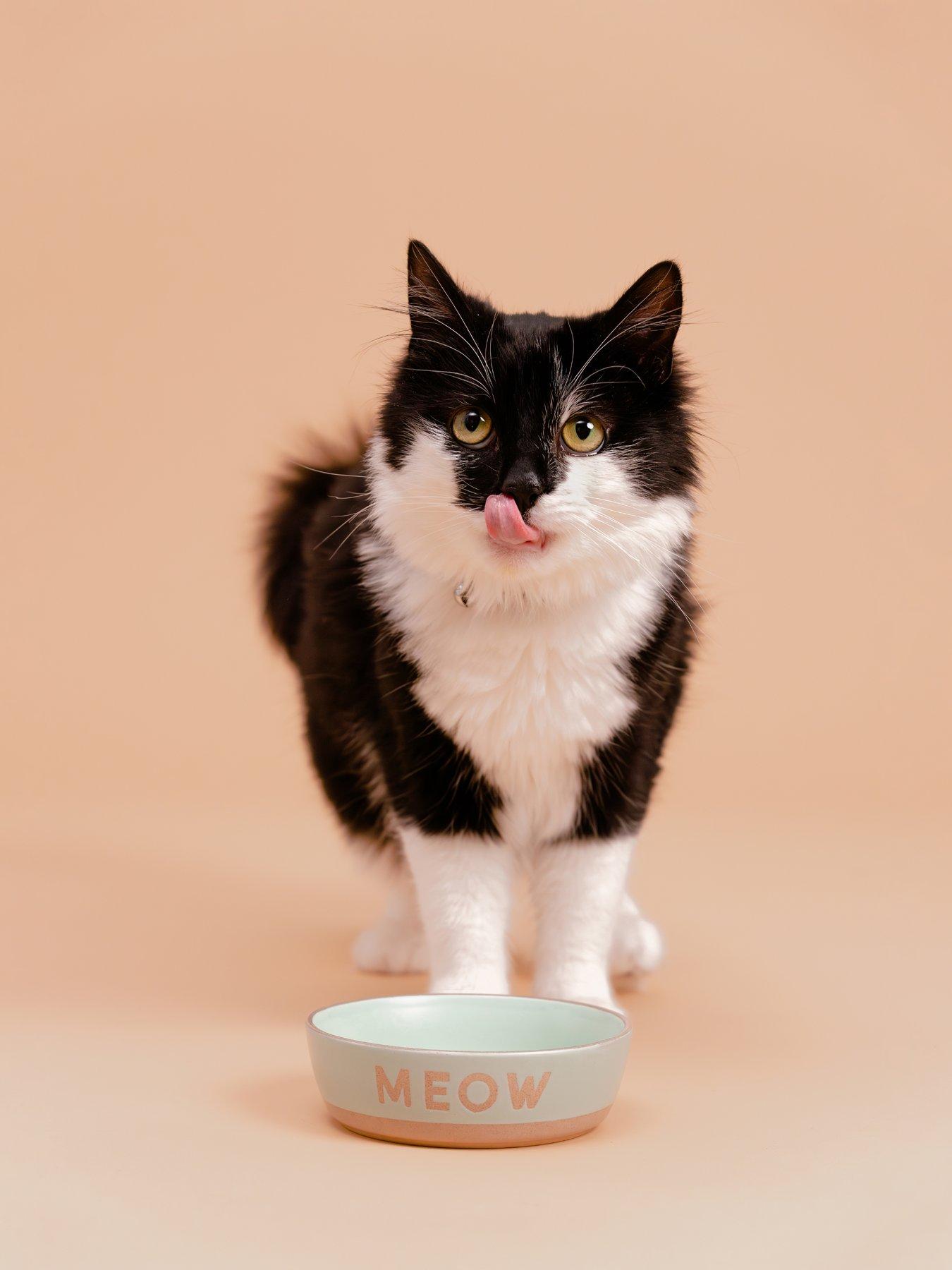 Mason Cash Set Of 2 Meow 13cm Bowls