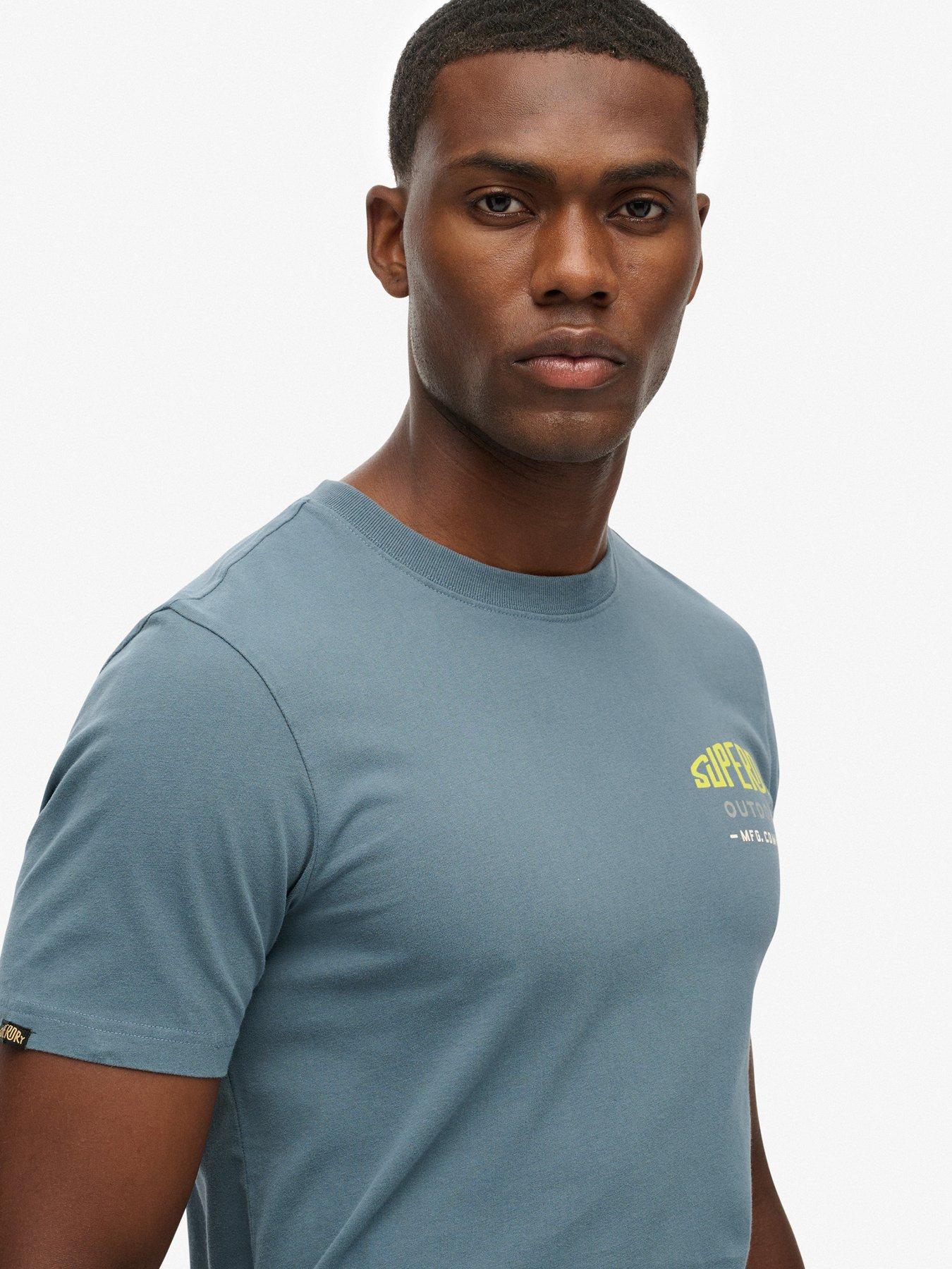 Image 4 of 5 of Superdry Mountain Relaxed T-Shirt - Blue