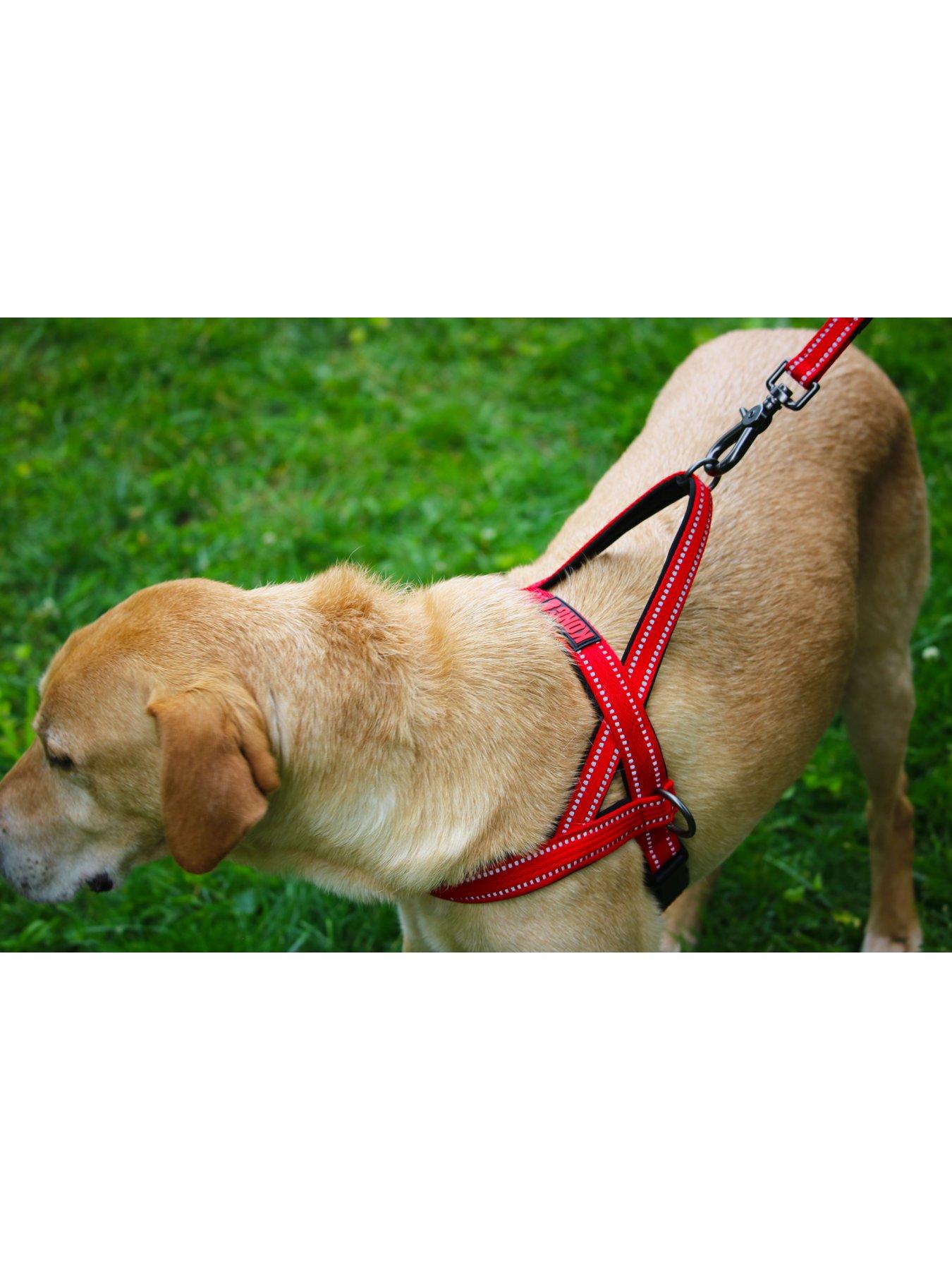 Image 4 of 4 of Kong Norwegian Harness Red