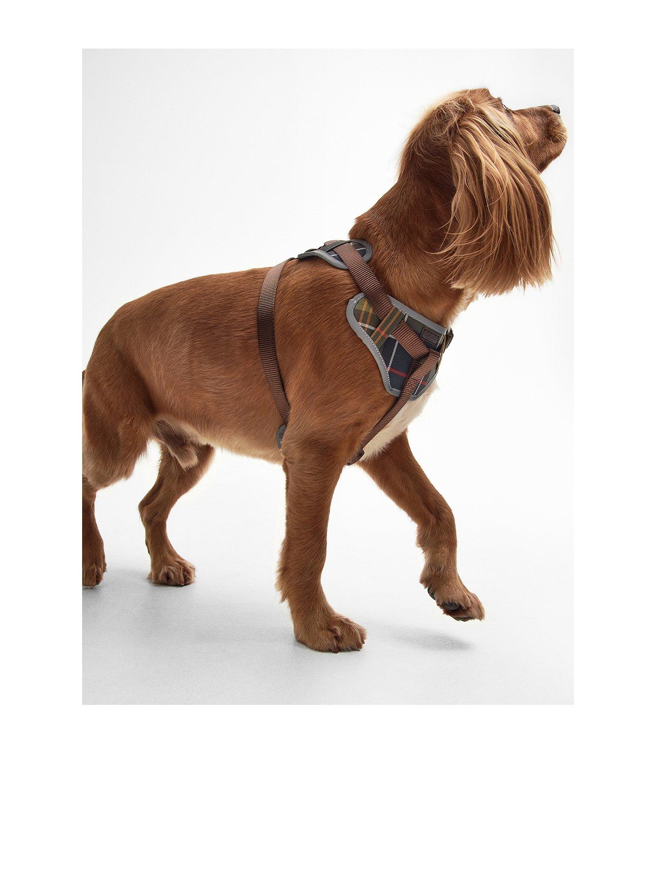 barbour-dog-fully-adjustable-harness-multi